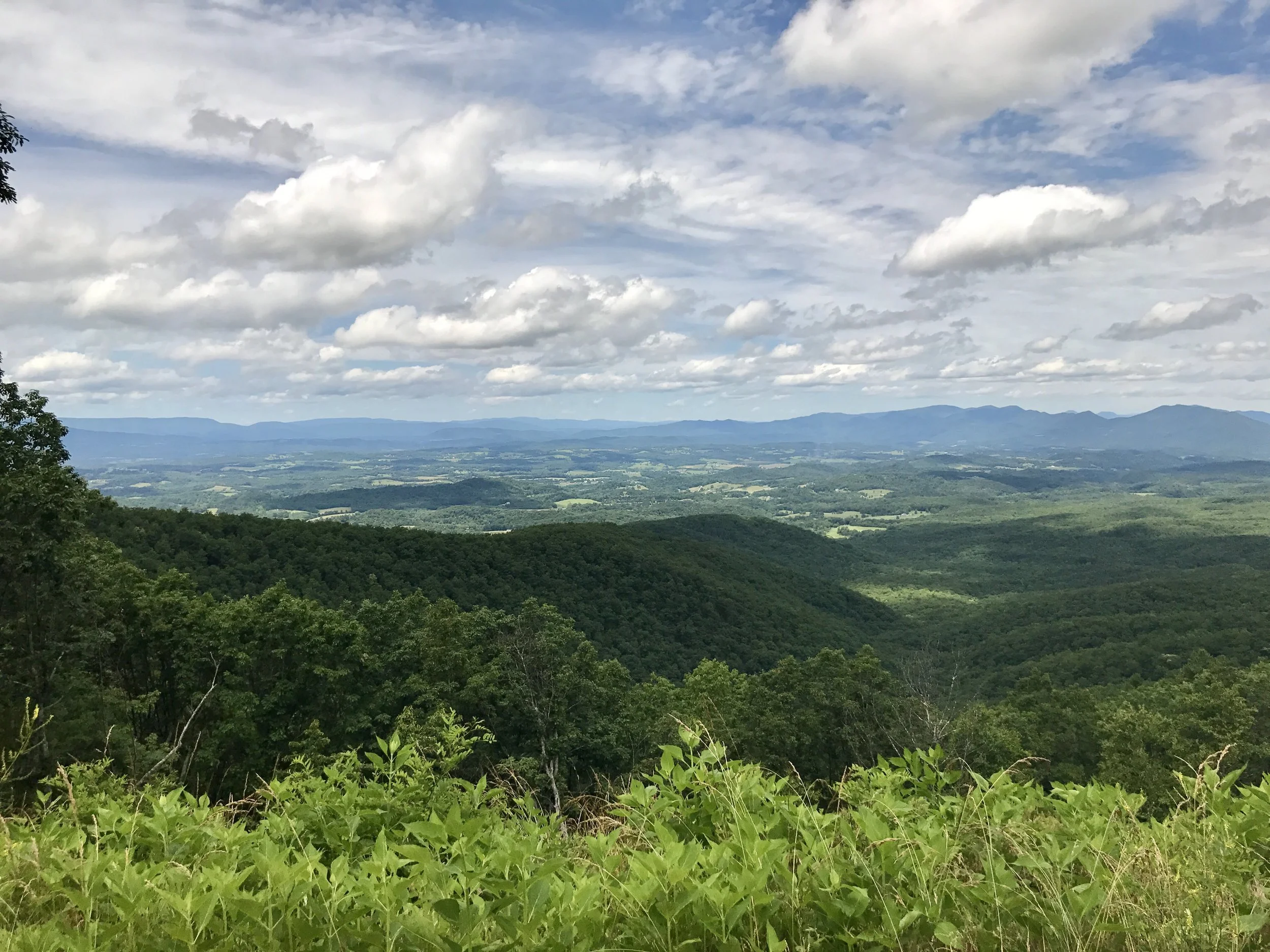 One spot where the Appalachian trail crosses the Blue Ridge Parkway.