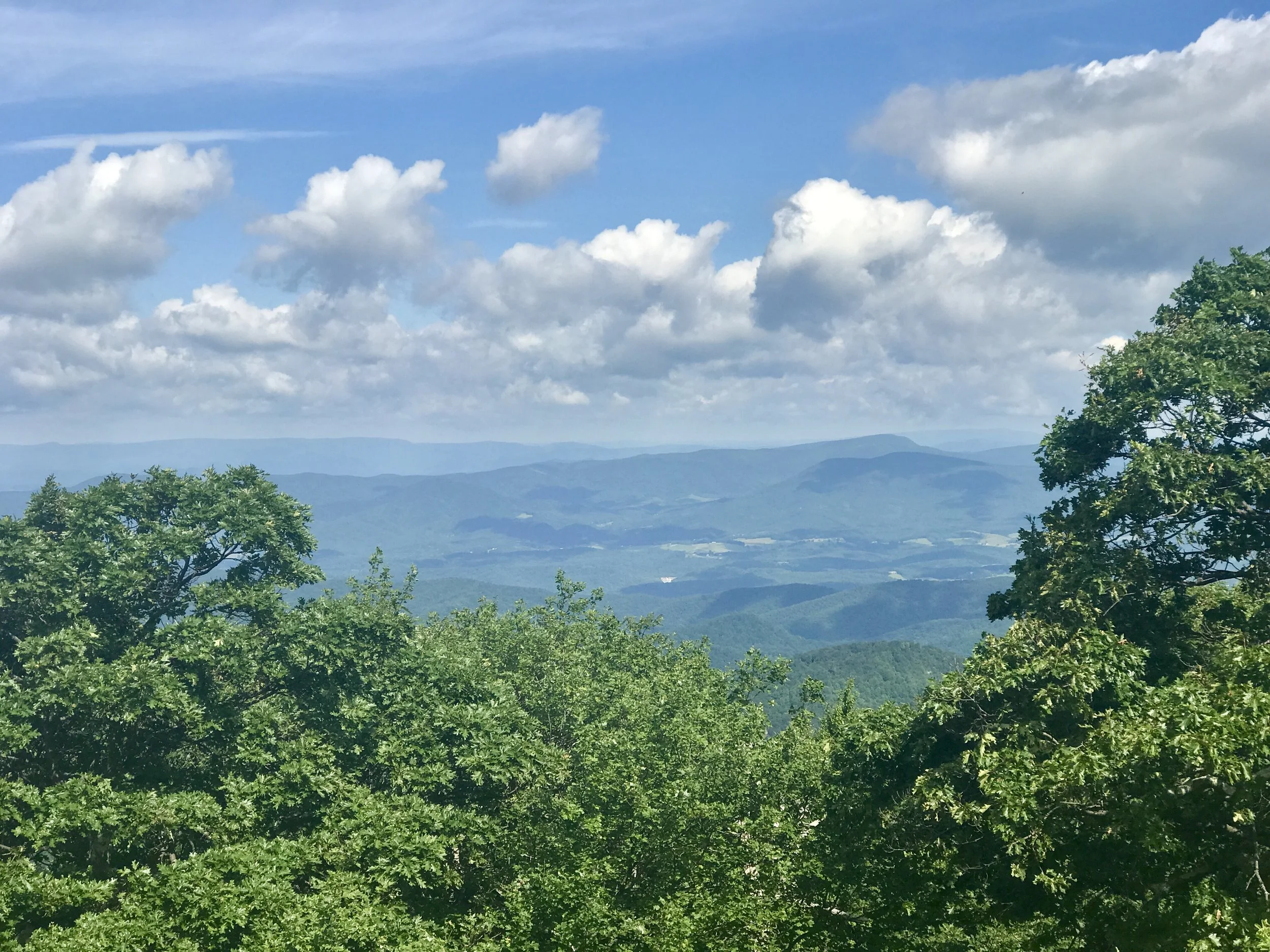 The view from Thunder Ridge. 