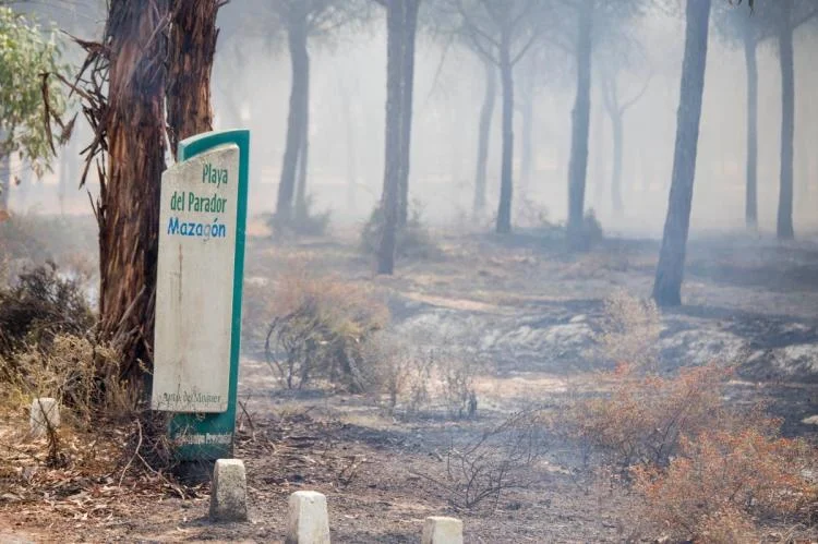 The recent catastrophic forest fire in Portugal. 