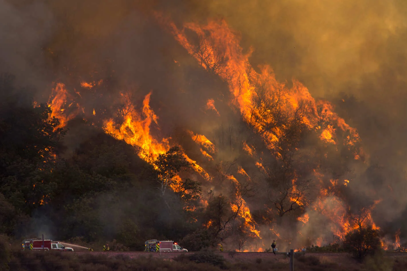Fires burn in western Oregon in the summer of 2017. 