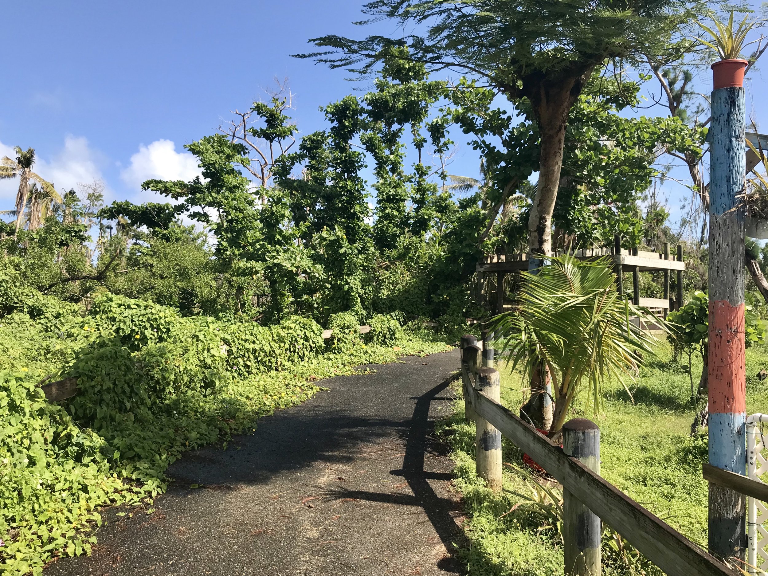 The bike path near Loiza. &nbsp;