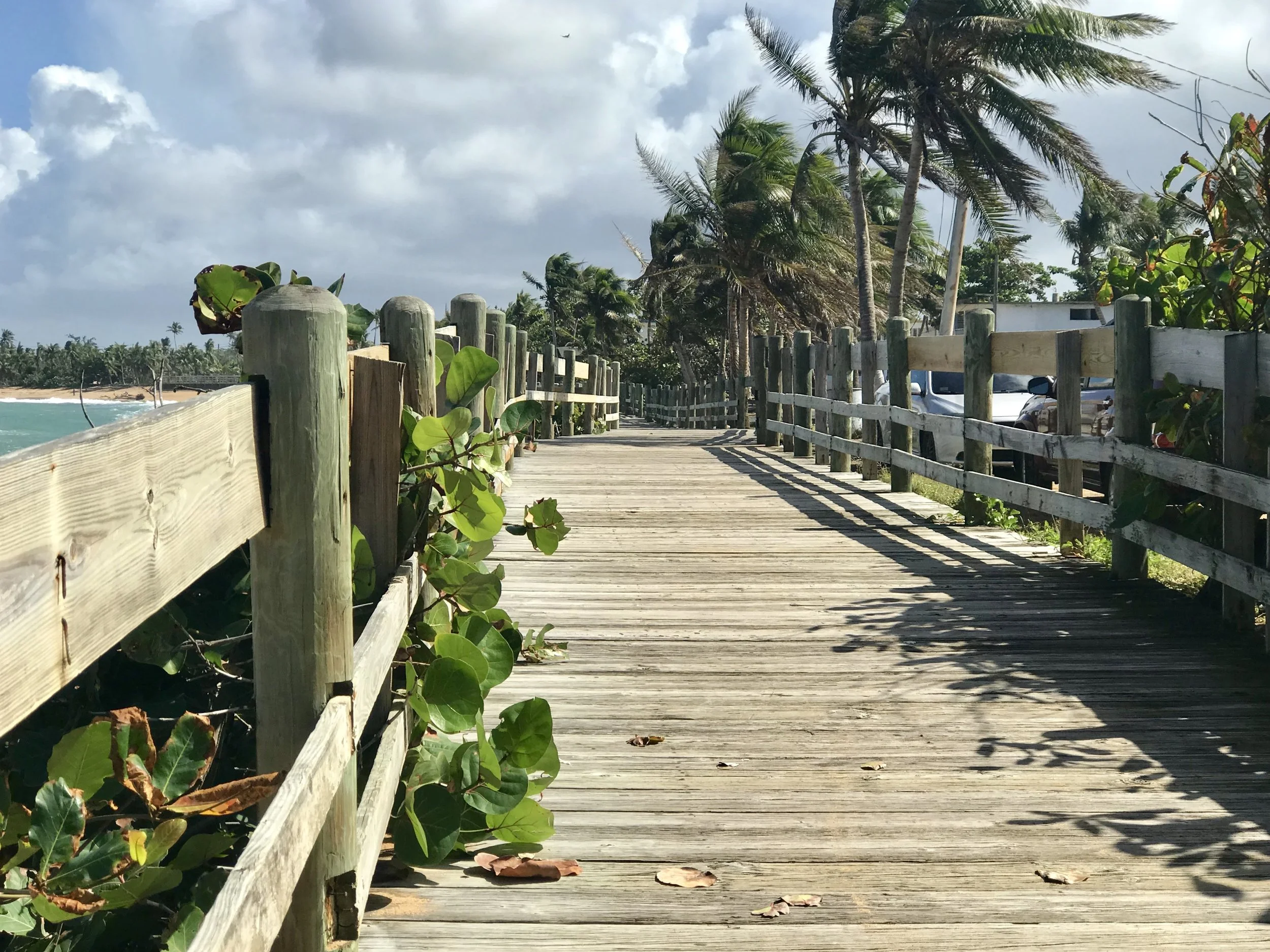 The coastal area east of the San Juan airport is known for a 12 kilometer designated bike path that follows along the beach and into an adjoining rain forest on asphalt, sand and extended sections of a timber bridge.