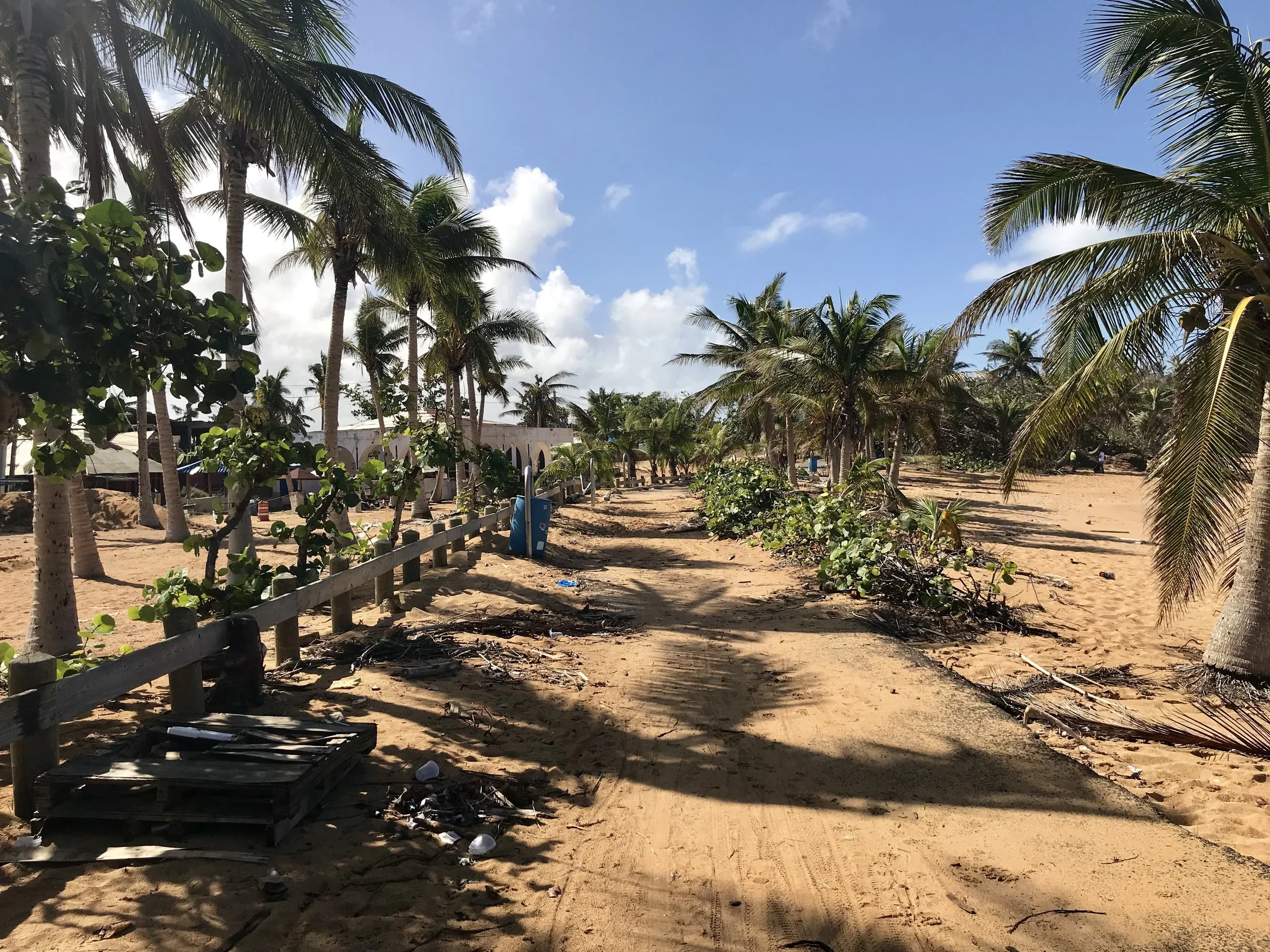 Sand covers an asphalt bike path.  