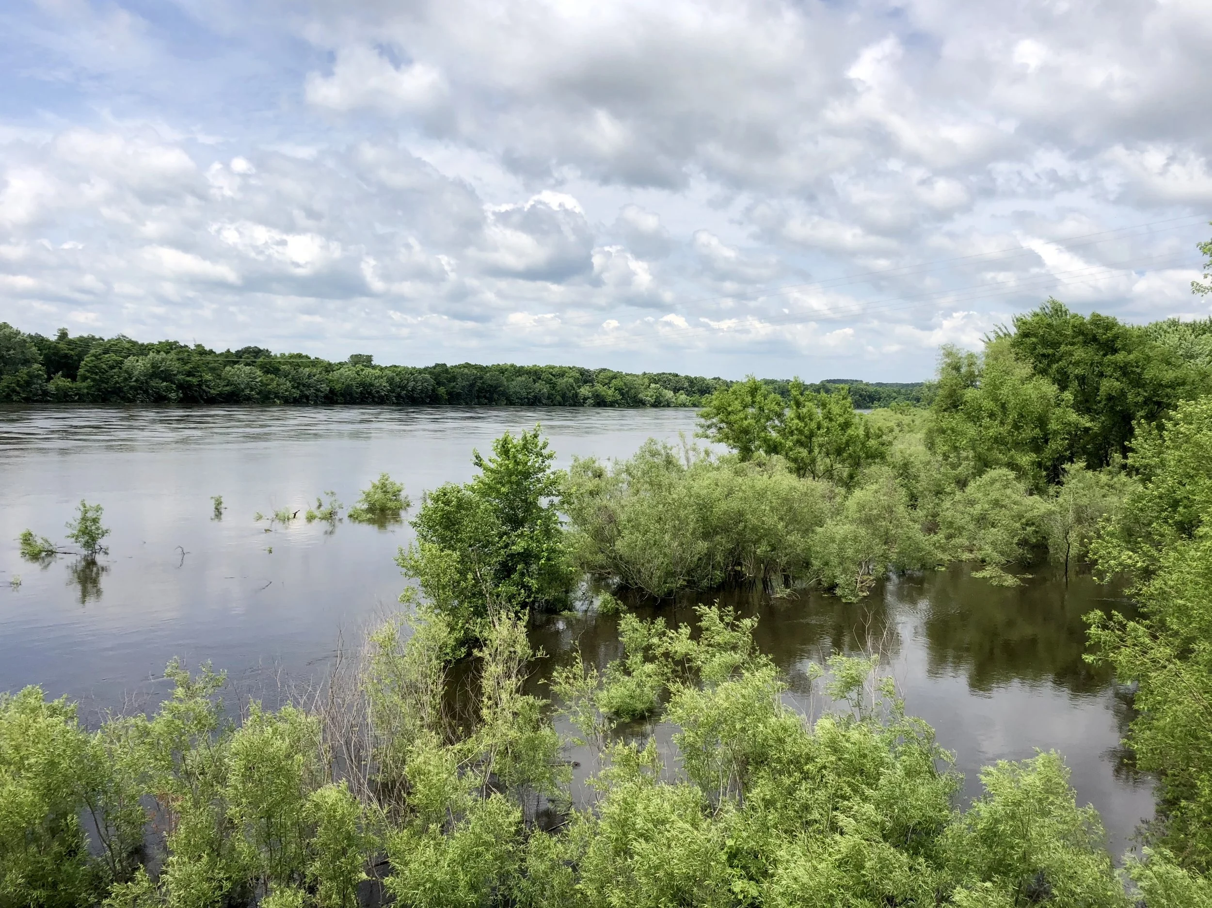 Another shot of the swollen Chippewa River.  