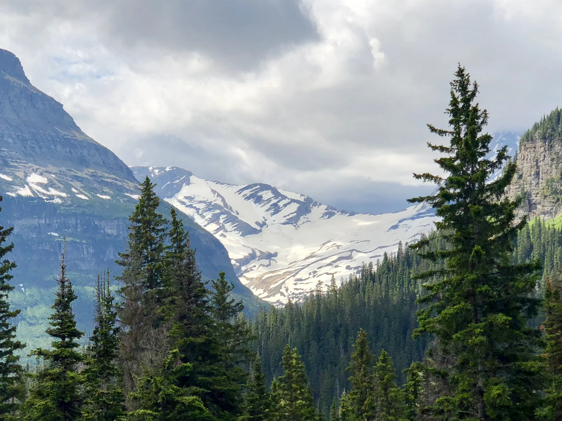 Jackson Glacier can be viewed from the "Road to the Sun", or "Going-to-the-Sun Road", or simply "The Sun Road" depending on who you talk to. This road was started in 1921 and finished in 1932. It is the only road that crosses Glacier National Park. …