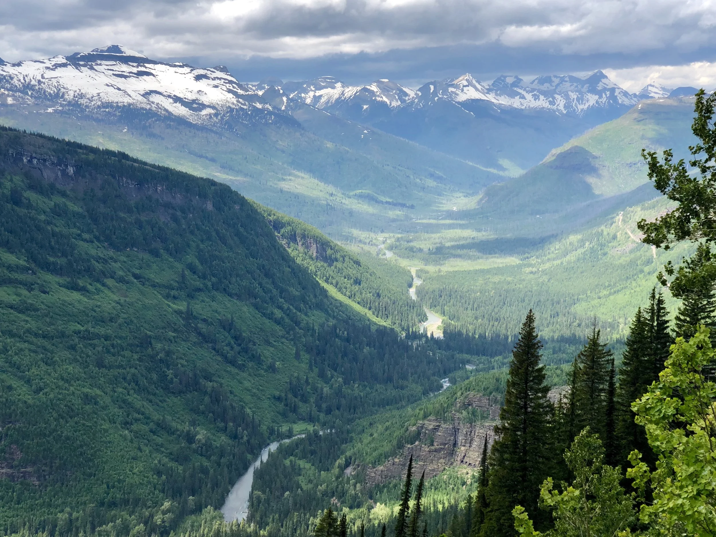 Coming down from Logan Pass on The Sun Road. 