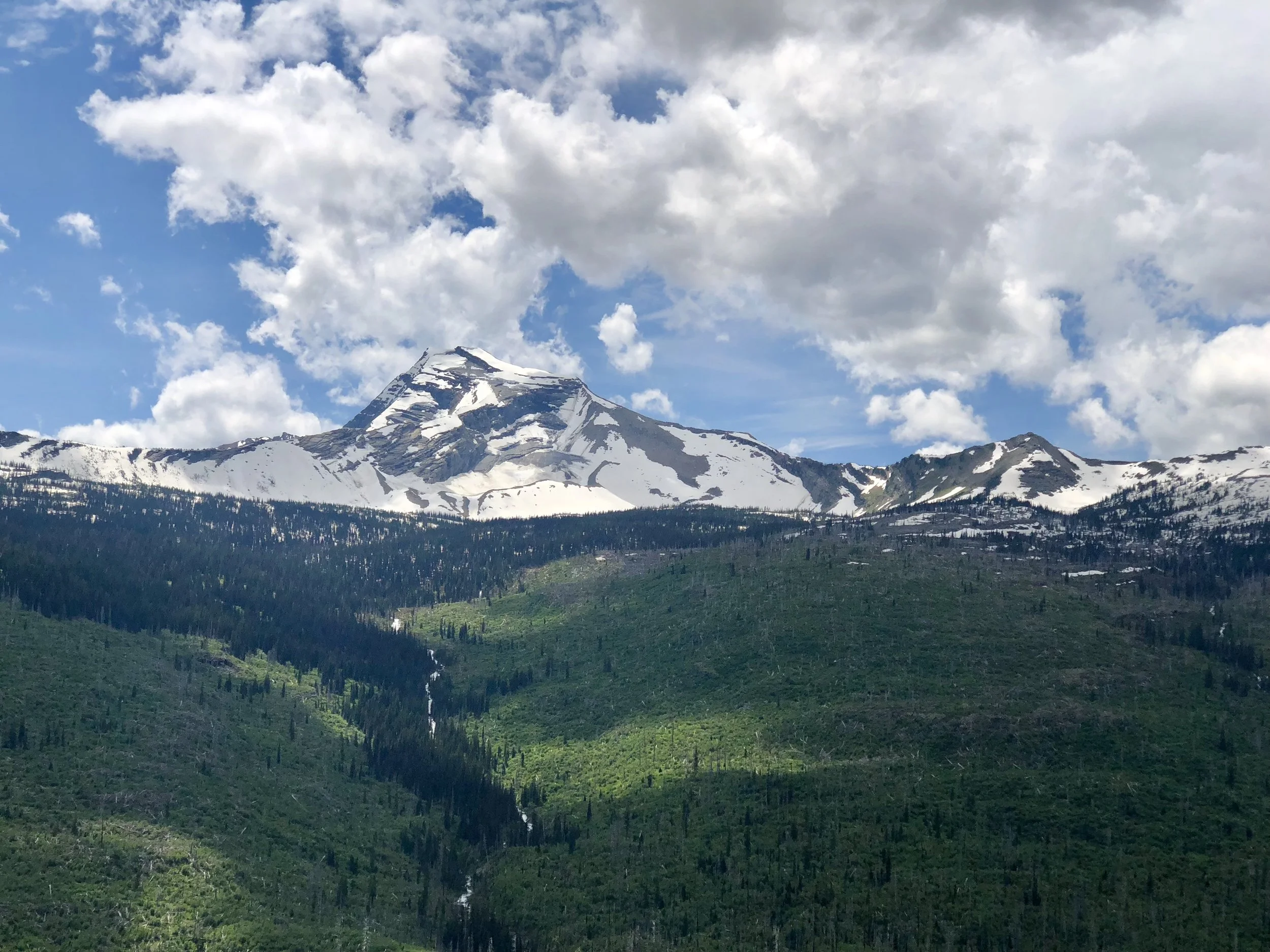 Coming down from Logan Pass on The Sun Road.&nbsp;