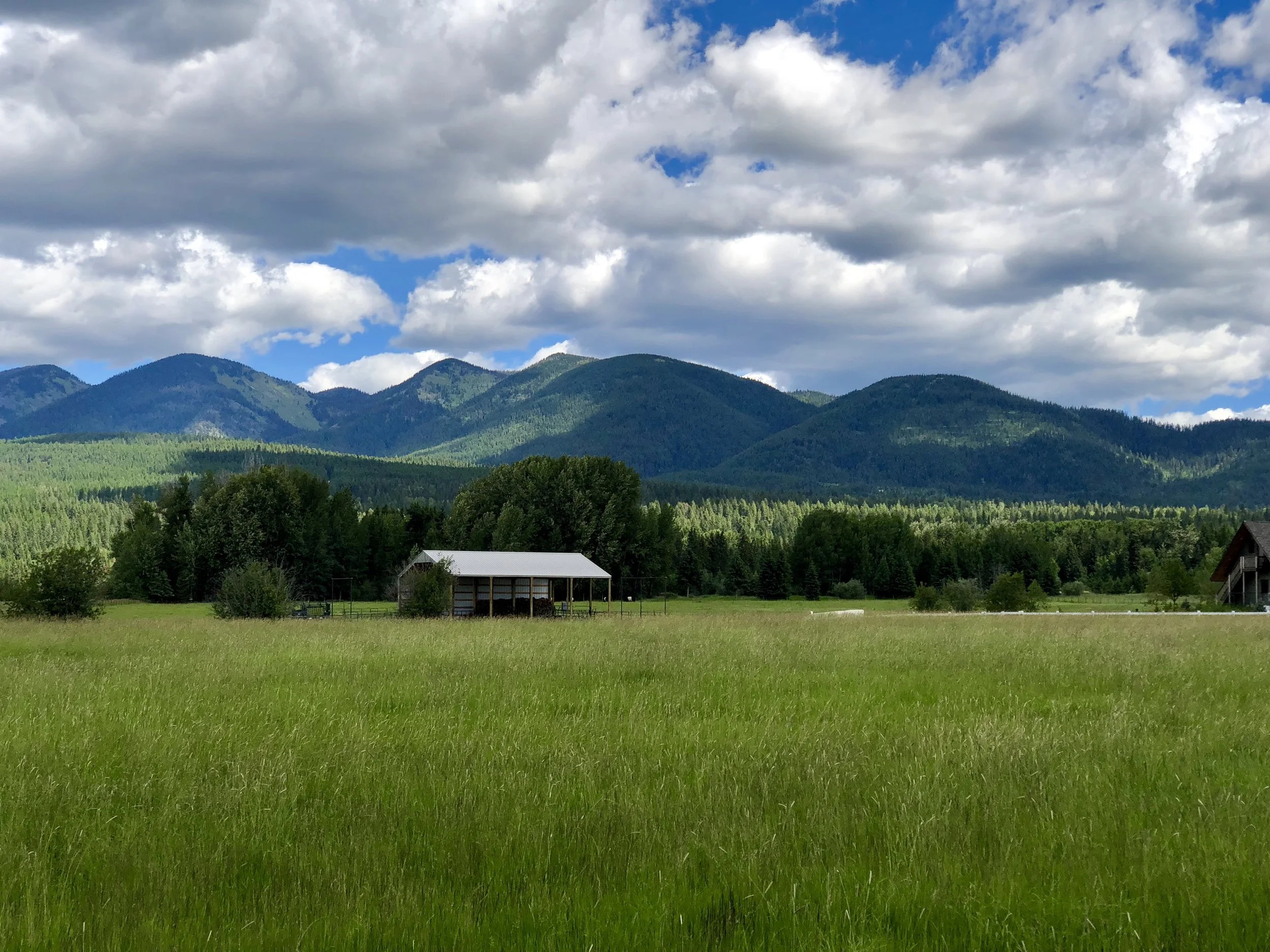 The land to the west of Glacier National Park. 