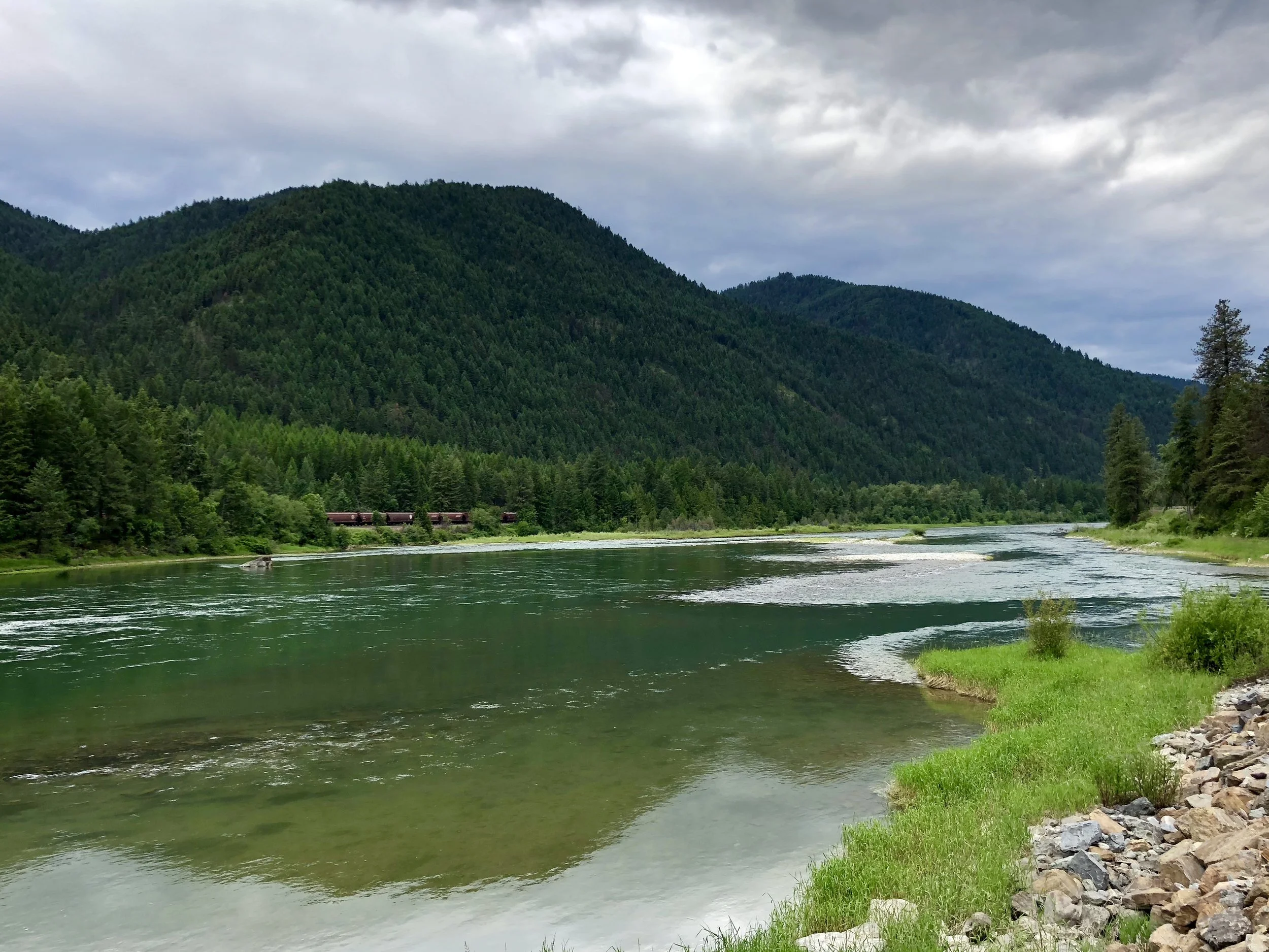 The Kootenai River about 5 miles north of Libby. &nbsp;