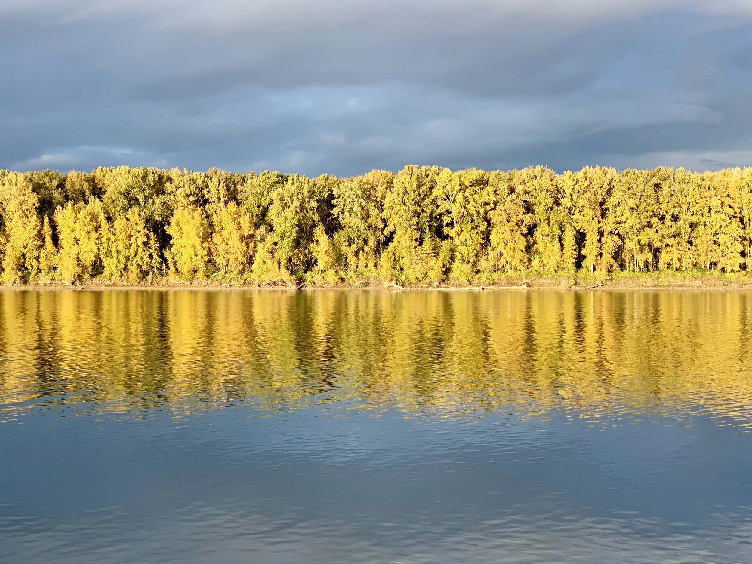 From my bike south of the Columbia River in Portland.