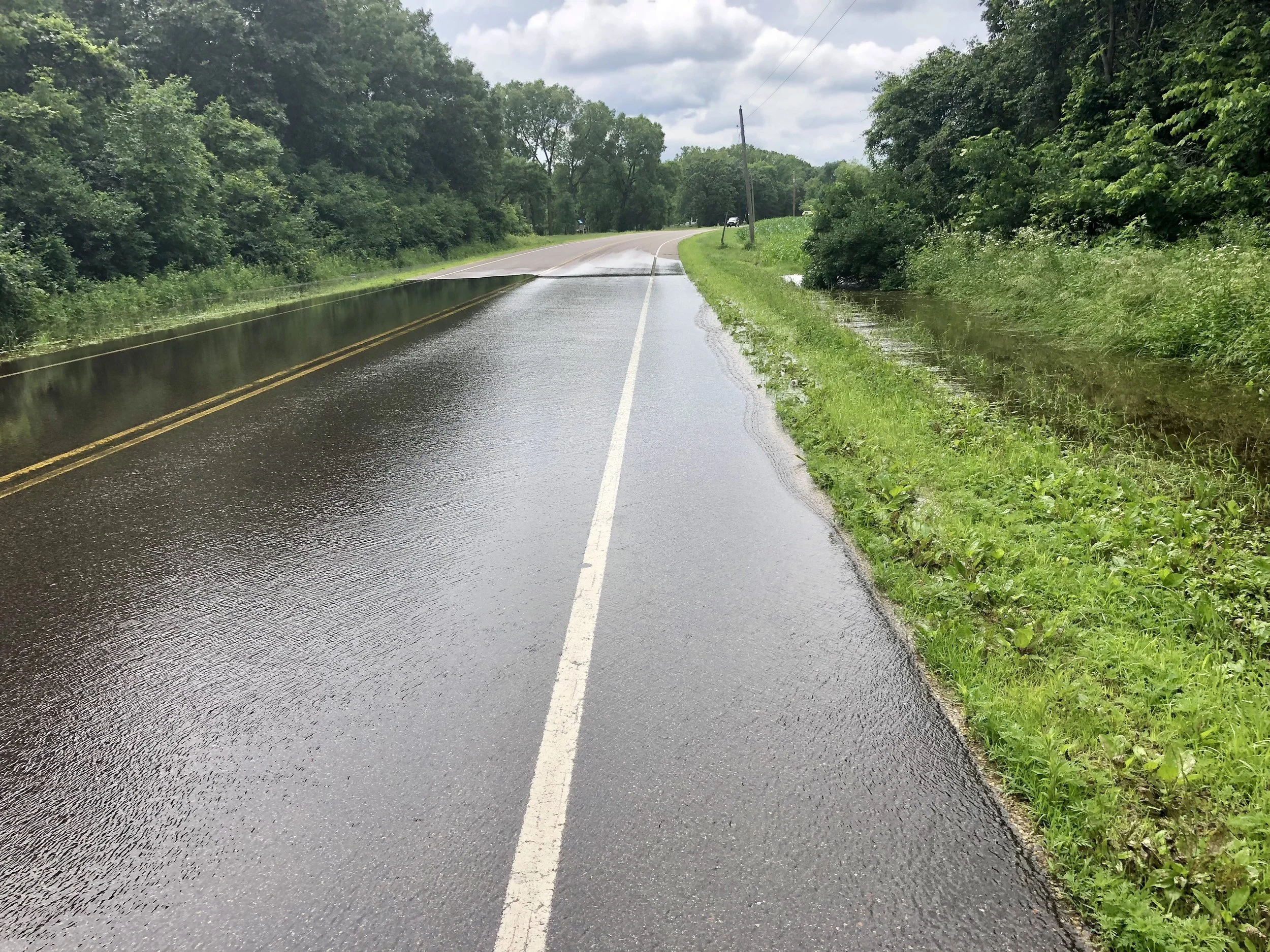Central Minnesota, summer, 2018.