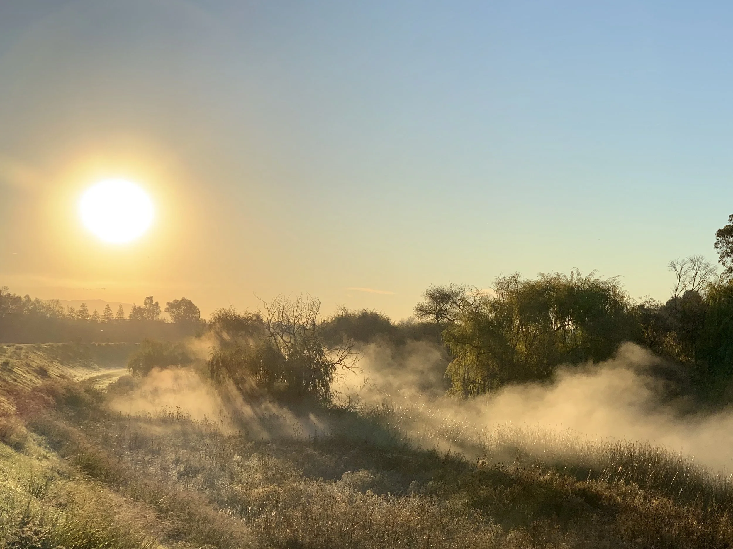 Fog on the Guadalupe River Trail, which extends from San Francisco Bay to downtown San Jose, near the Amtrak Station.