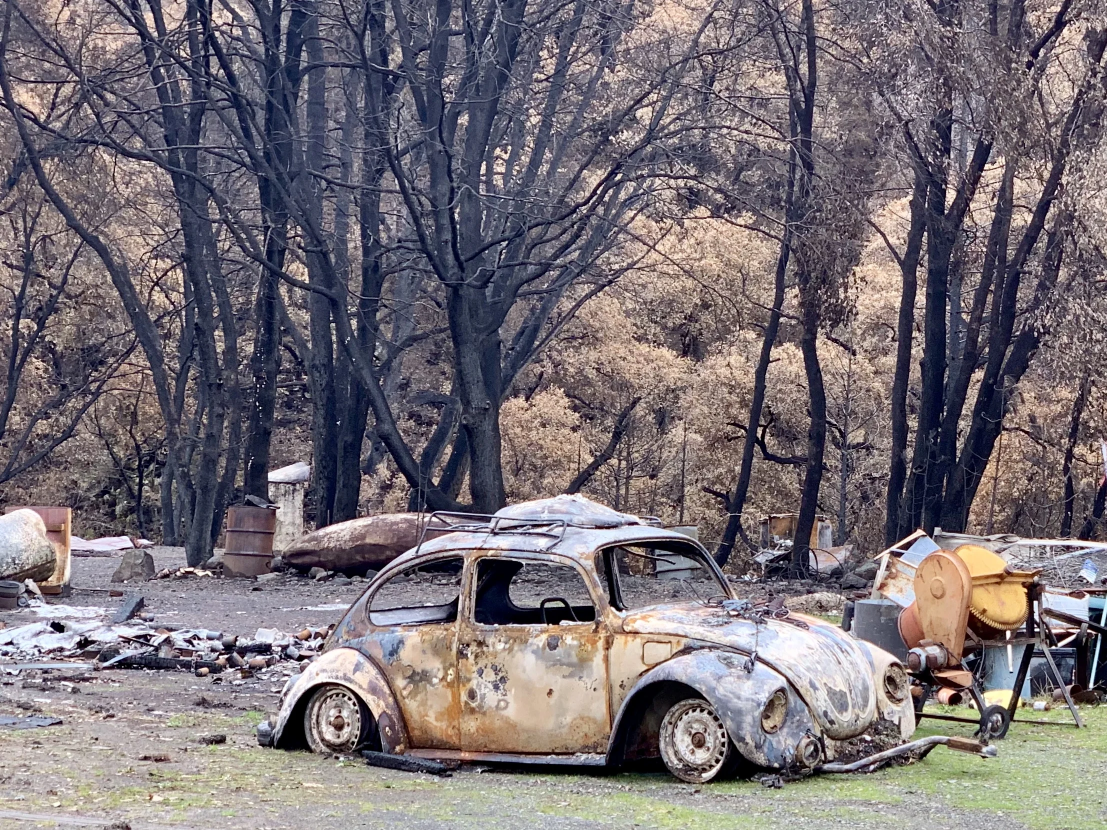 A climate stressed place - I took this shot in last month near Redding, CA. It's from the Delta Fire, which took place several weeks after the CARR Fire was contained. Locals refer to it as "the forgotten fire".