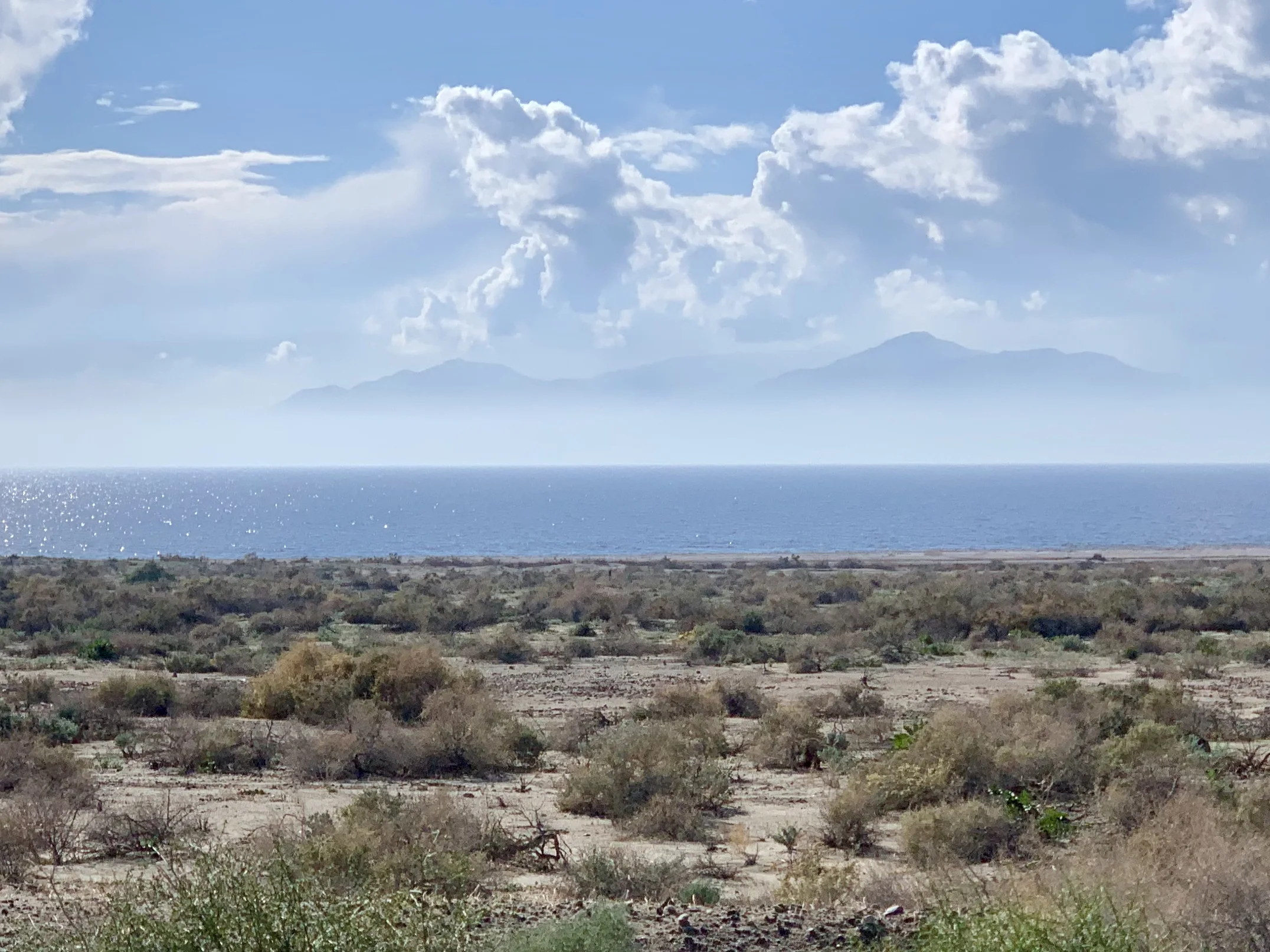 The northern and eastern shore of the Salton Sea is remarkably empty. The first 20 miles of the coast from the north shore are protected by at least three county parks. I was surprised and delighted to see this.