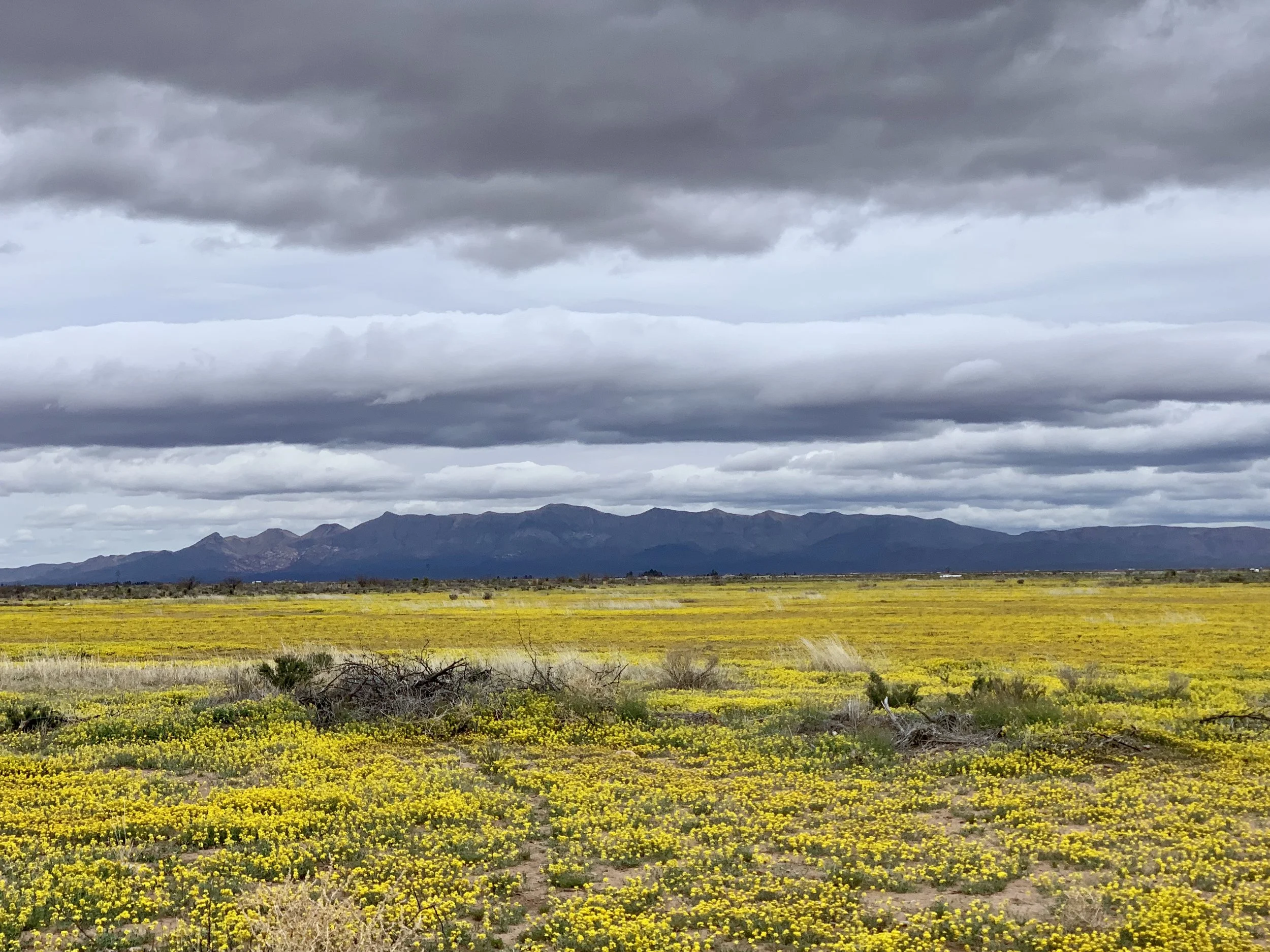 Just outside of Douglas.