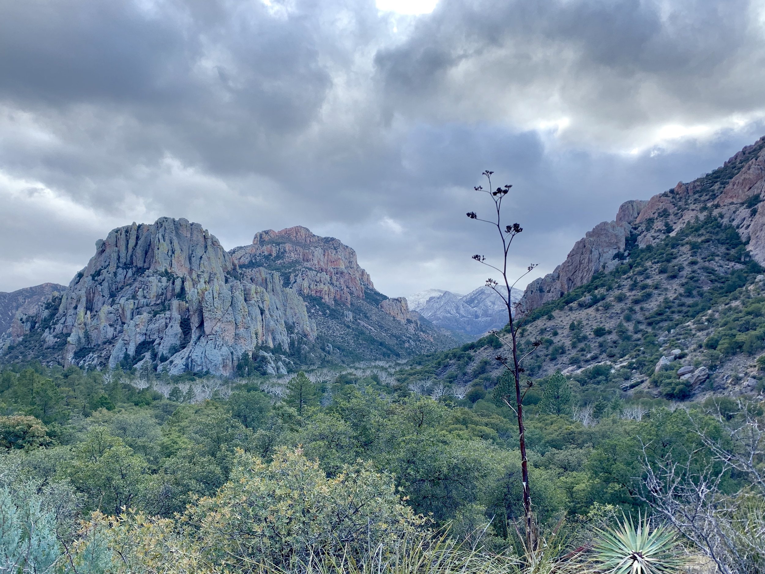 Another view at Cave Creek looking west.