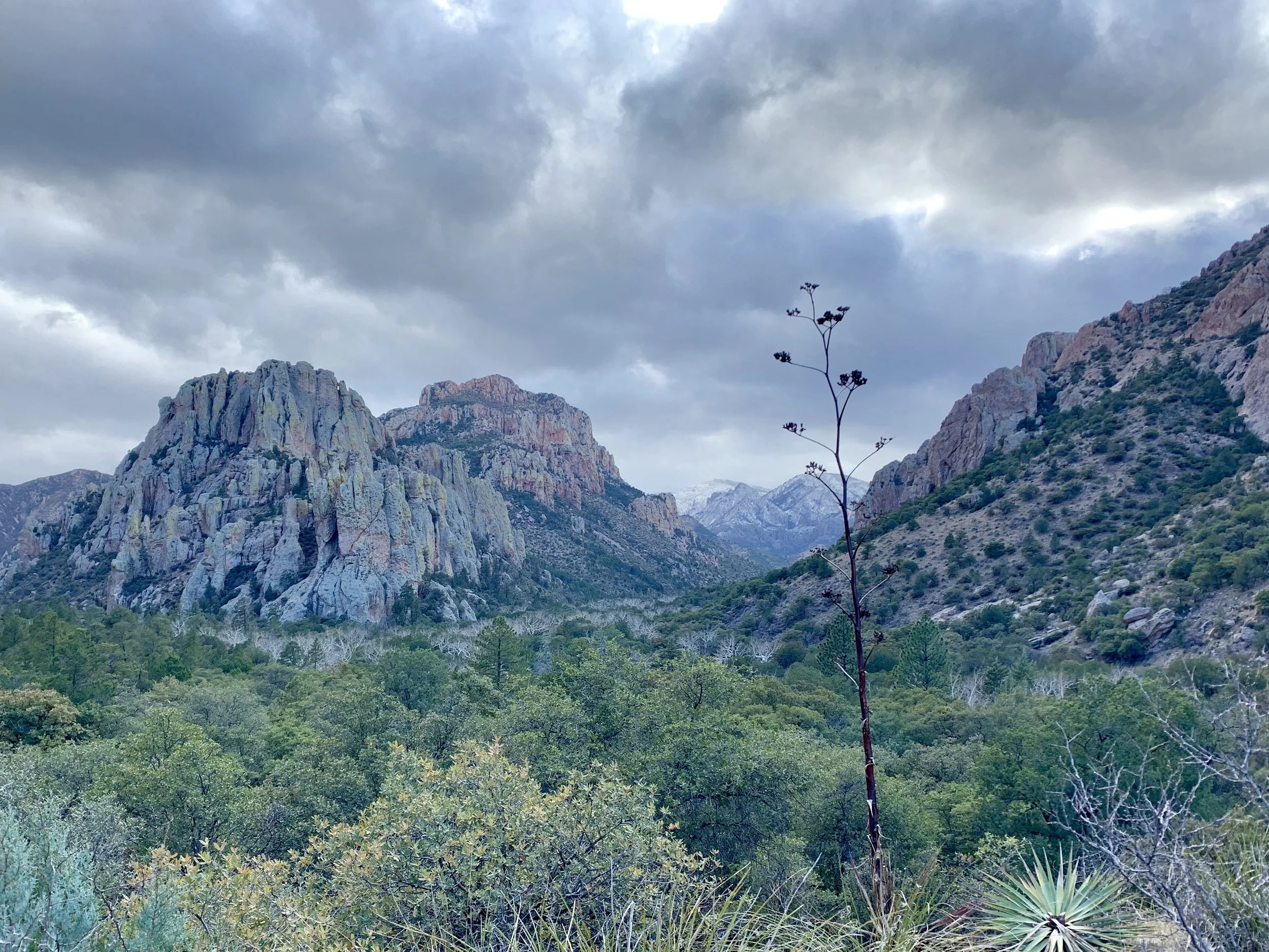 Another view at Cave Creek looking west. 