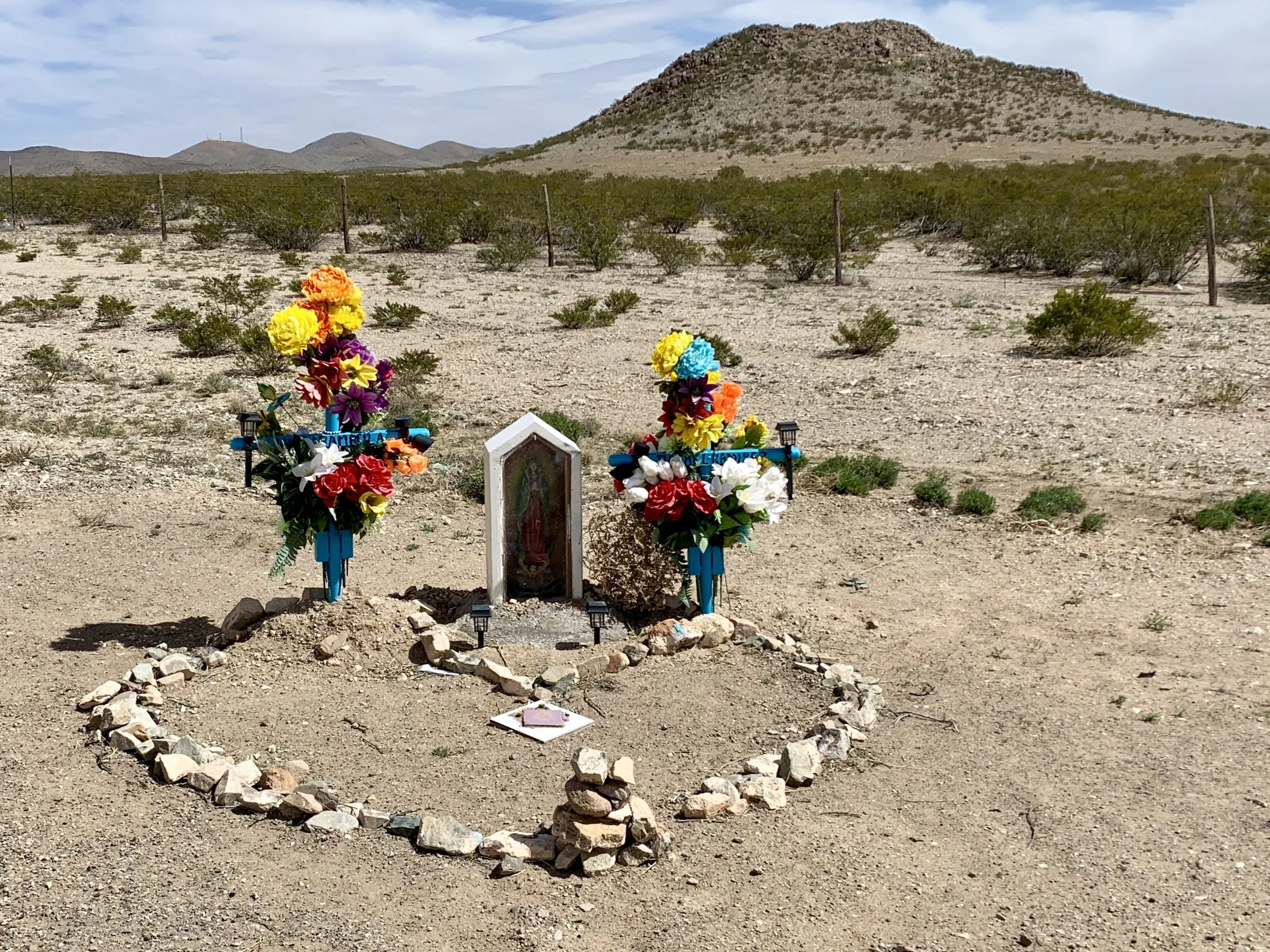 Seen in western NM.