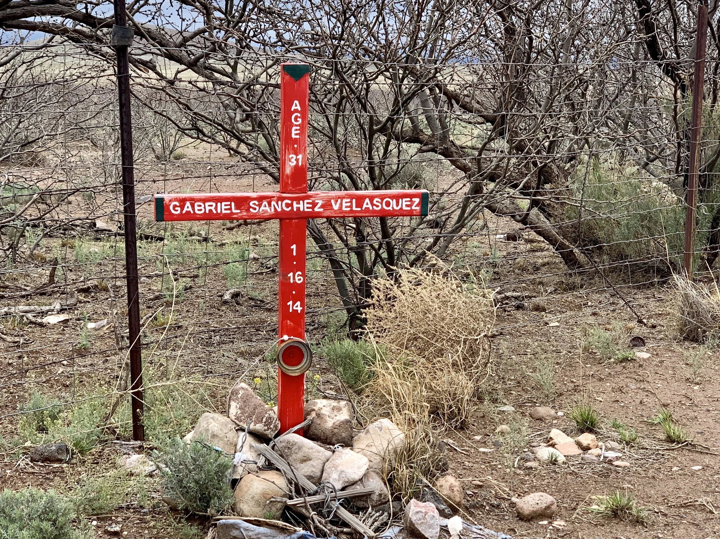 Seen near Douglas, AZ