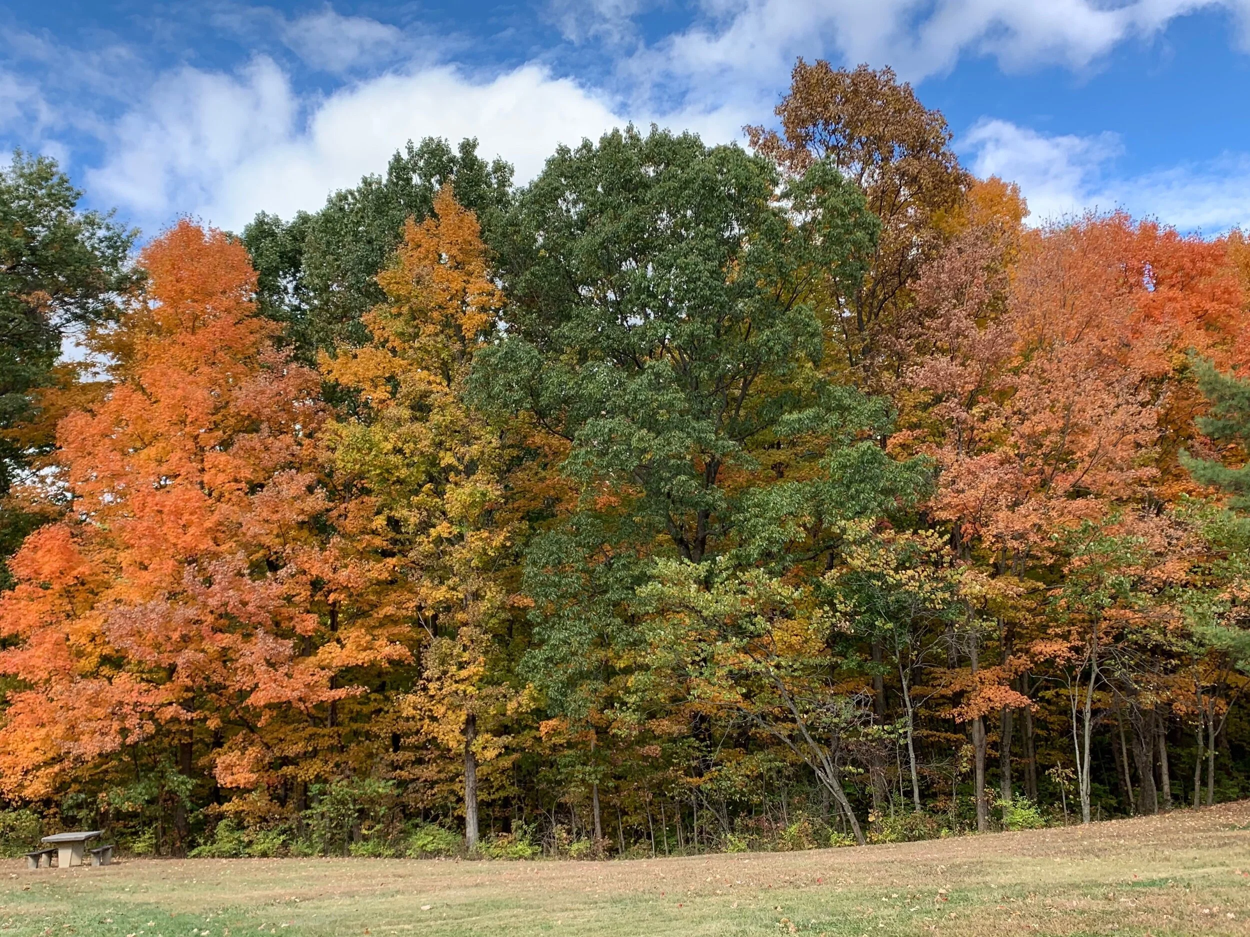 Fall colors on the way.