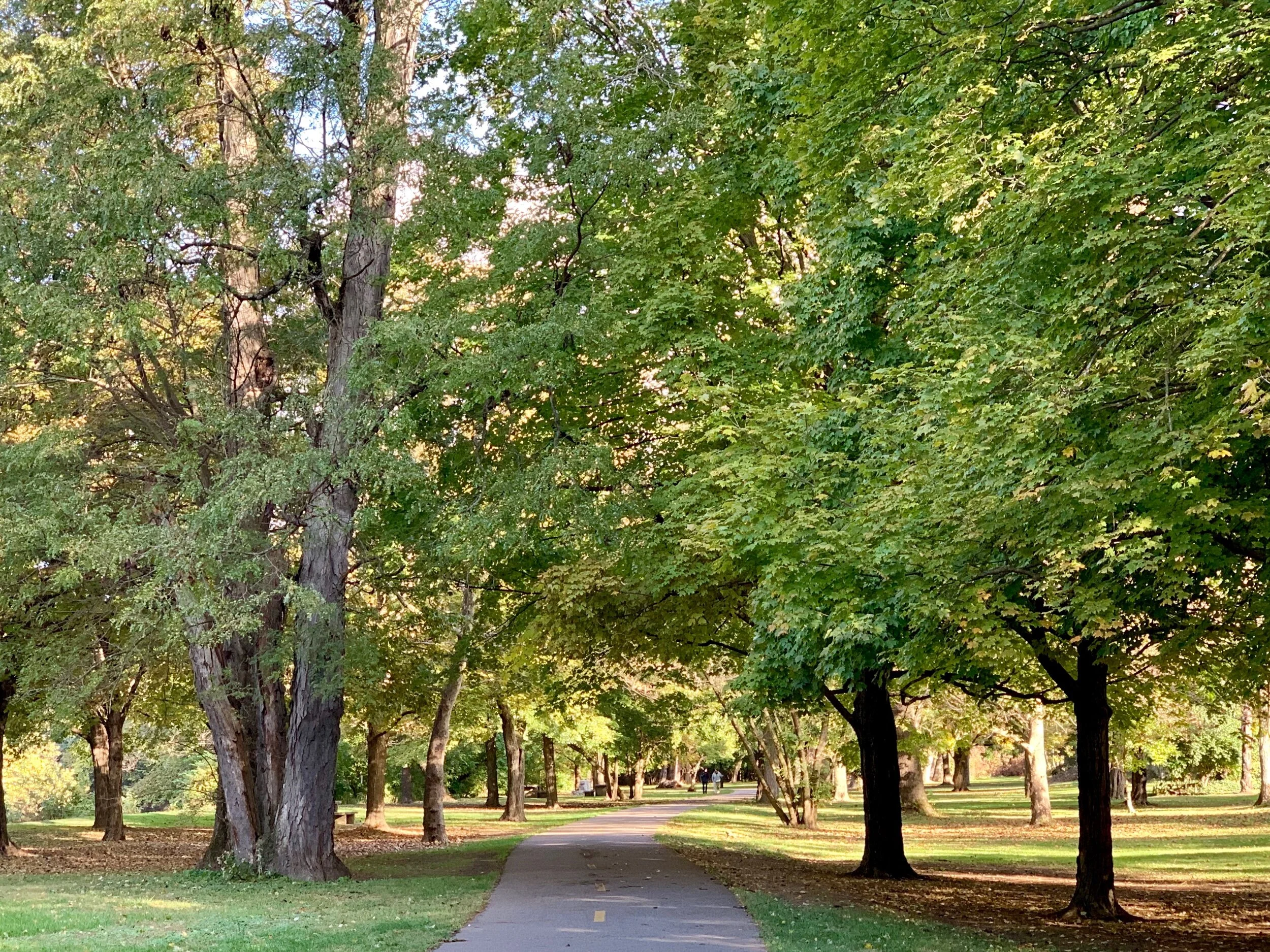 The Olentangy River Trail makes its way through much of Columbus, including this lovely park.