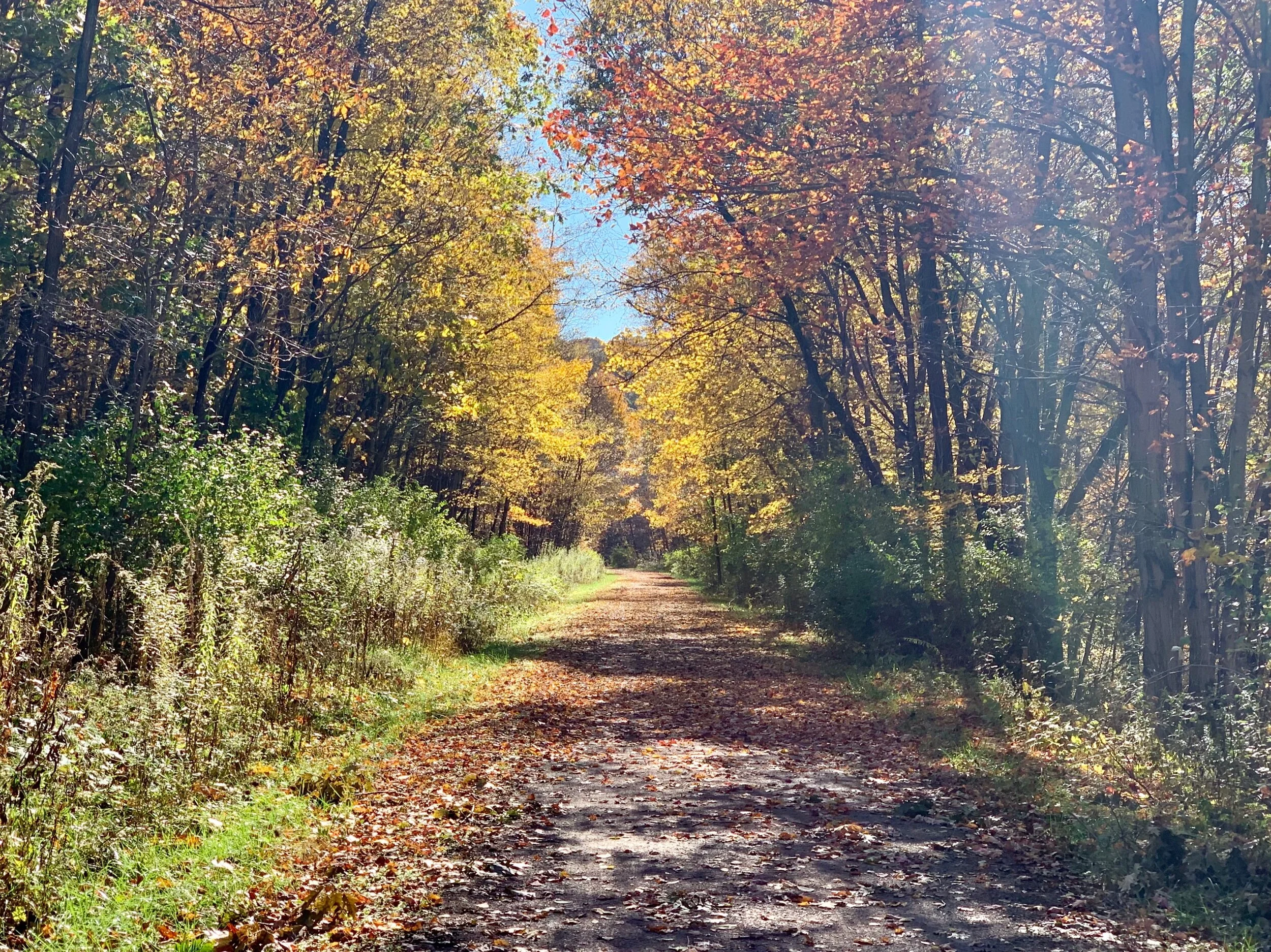 The GAP Trail is always sensational, and fall colors make it superlative.