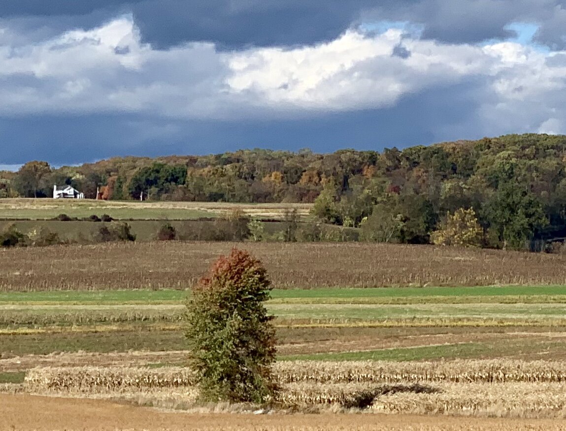 A lonely tree sits in the Conestoga Valley east of Lansing, PA. This valley is populated by Amish farmers, and is a stunning place to cycle.