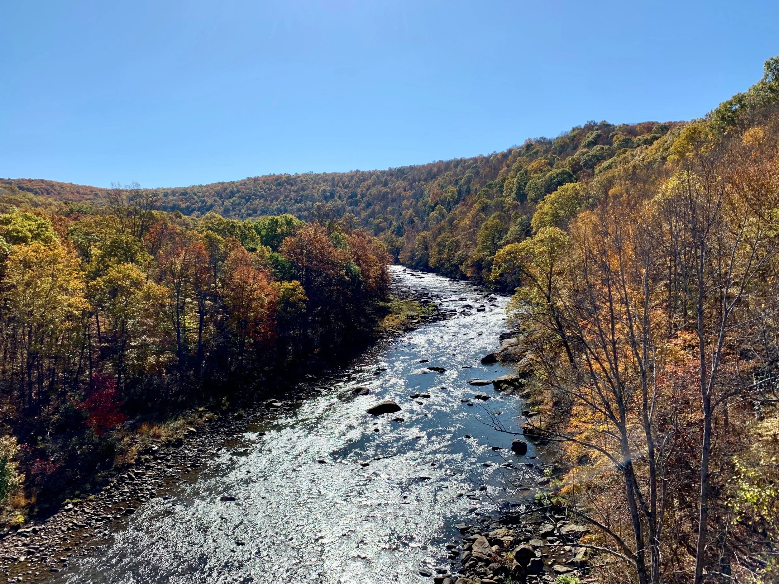 Another of many views Youghiogheny River along the GAP Trail.