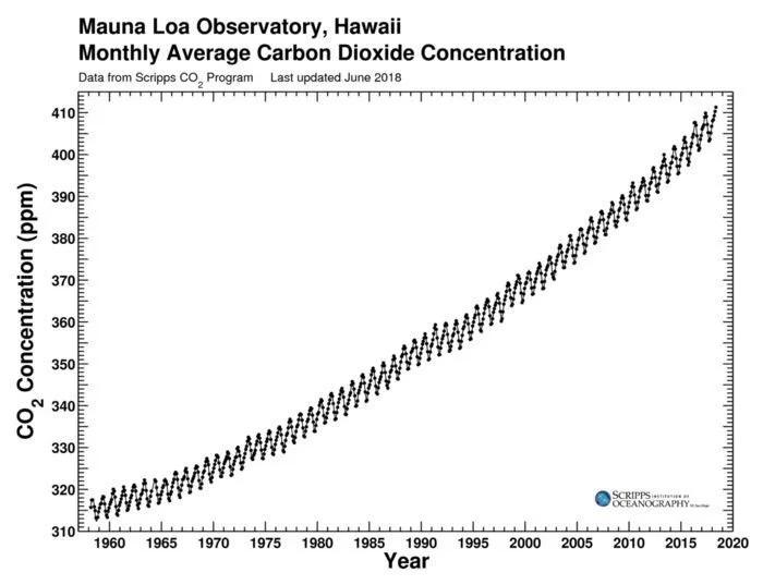 This is the famous Keeling curve, which demonstrates a 25 percent rise in carbon levels in our atmosphere since 1960.