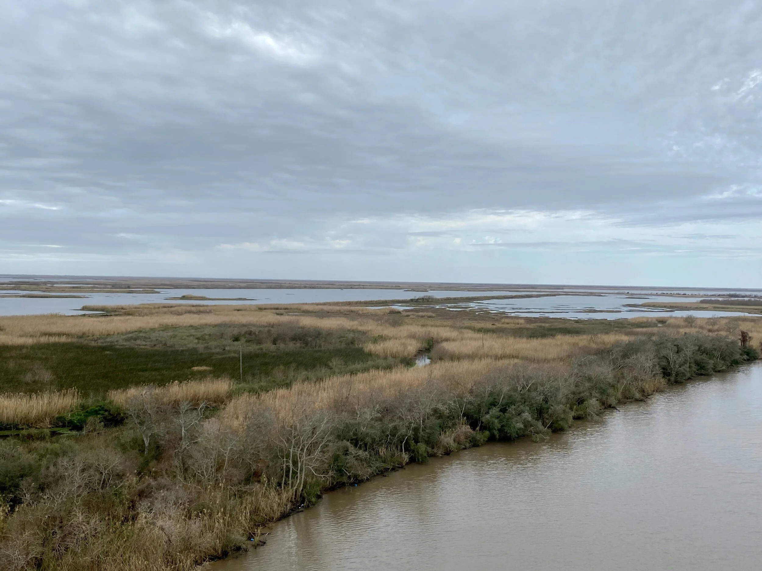 Just south of the Intercoastal Waterway on Highway 24 in southwestern Louisiana. Under these marshes lie a maze of pipelines carrying oil and gas from local deposits and the shale play in northwestern Louisiana.
