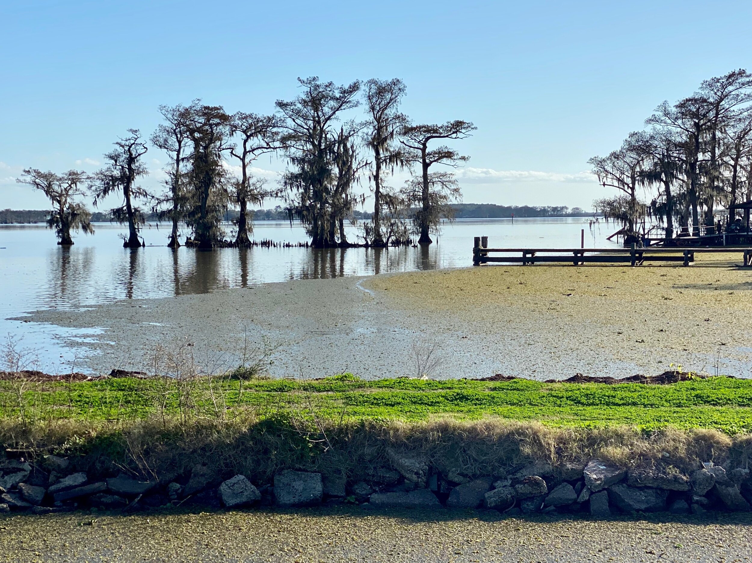 A view of Lake Arthur, LA.