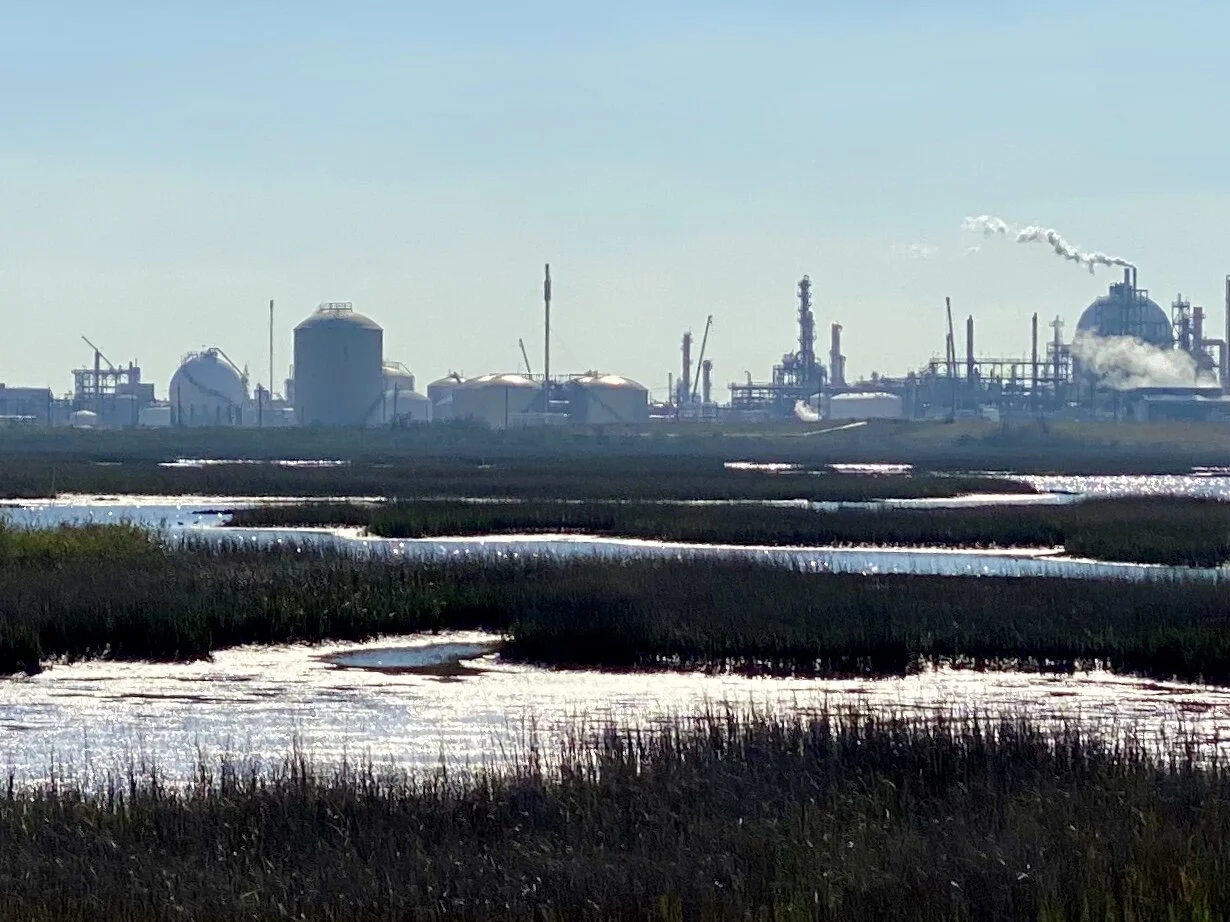 The Dow Chemical Plant near Freeport is situated just above the Intercoastal Waterway on a vast marsh.
