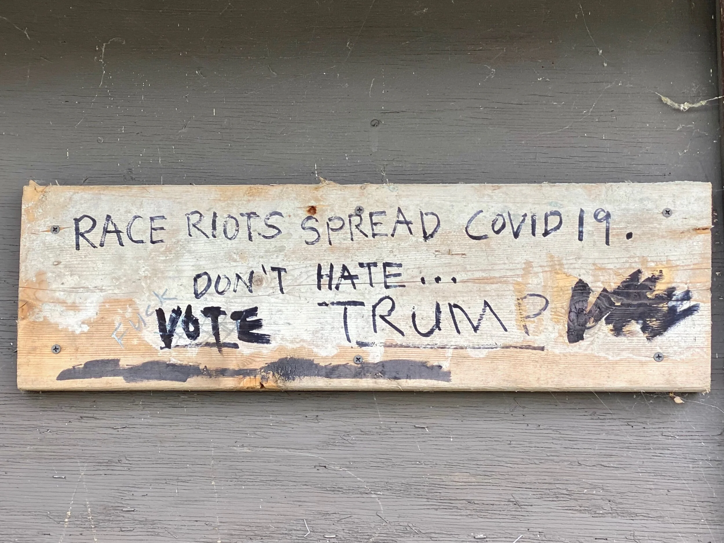 Seen by the roadside on Isle la Motte, Vermont.