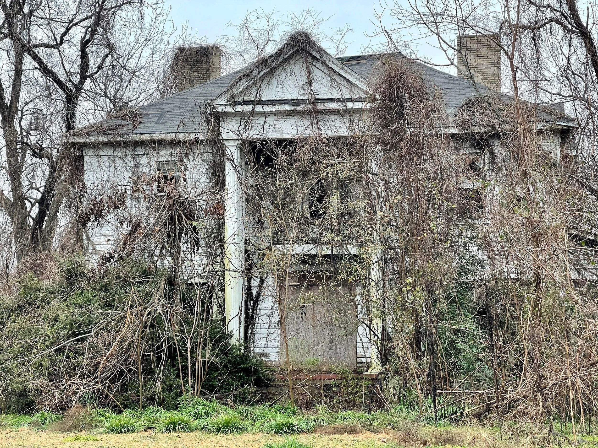 A decaying mansion returns to the earth in Mayersville, Mississippi.