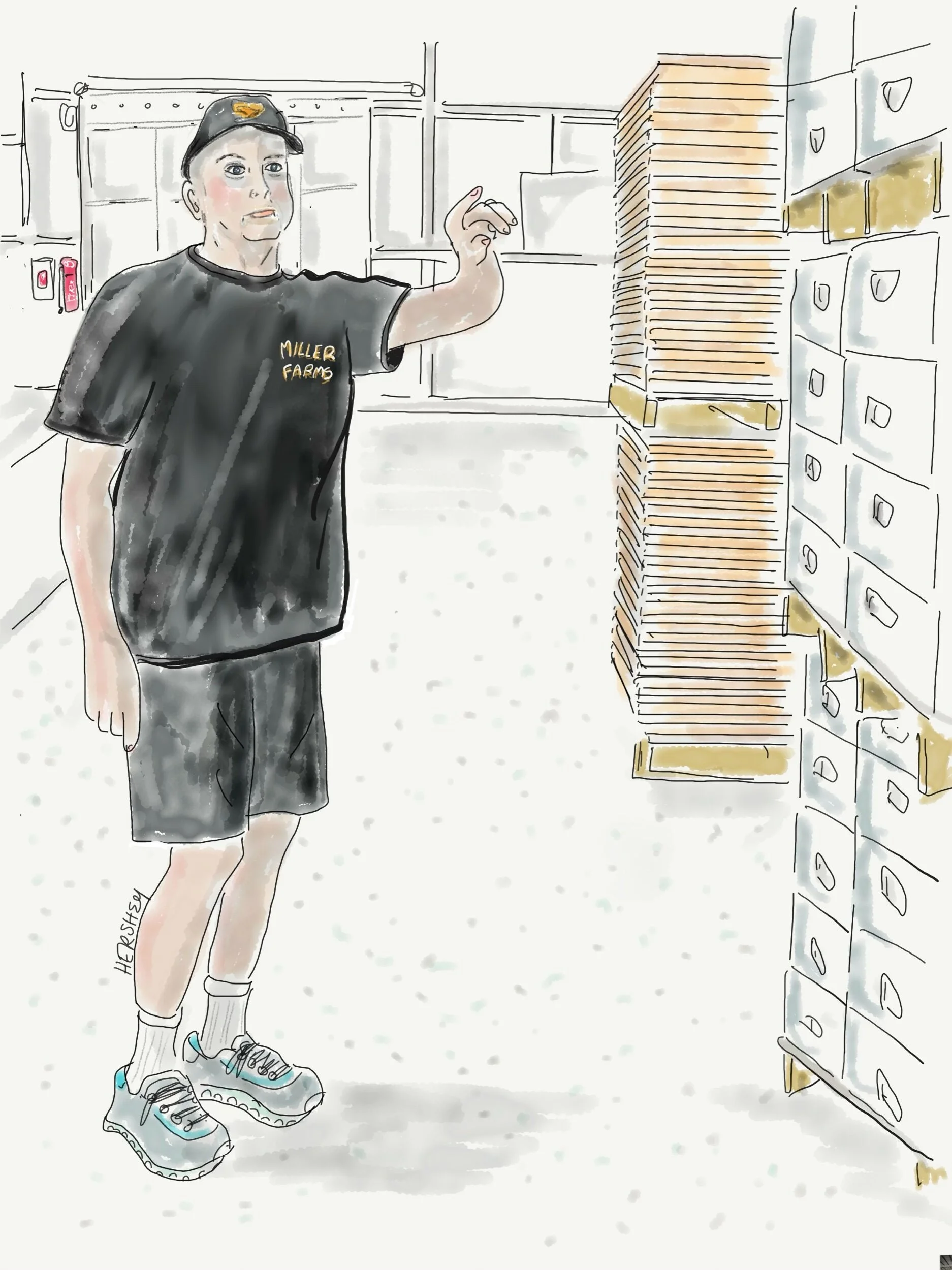 Miller Honey Farm created a winter  home for their bees in a climate-controlled warehouse lit with infrared lighting that helps keep the bees dormant. Drawing by Jennifer Hershey. Follow her work on Instagram at deeofo.