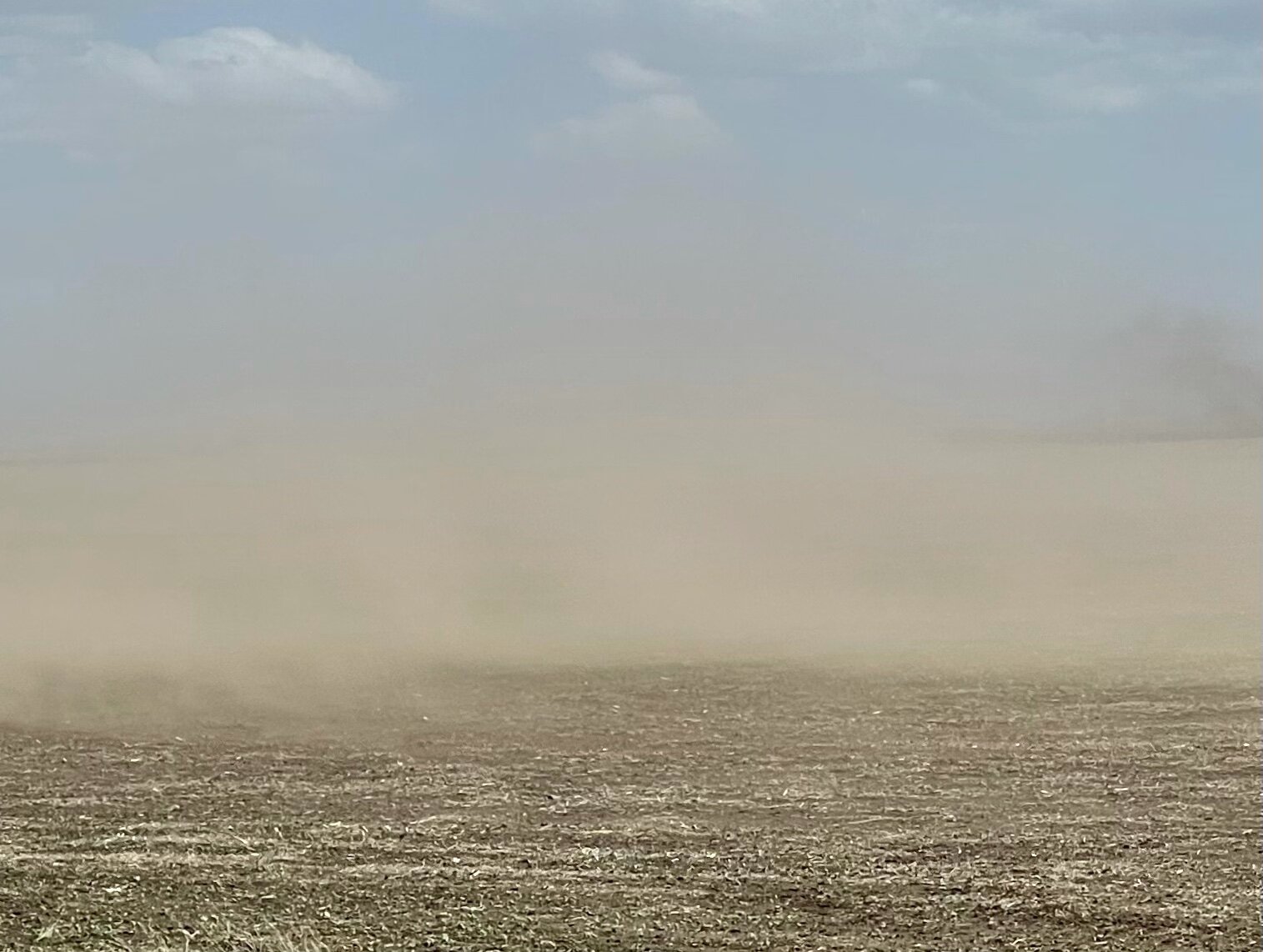 Wind erosion on a conventionally tilled field in South Dakota. Photo by Michael Chase.