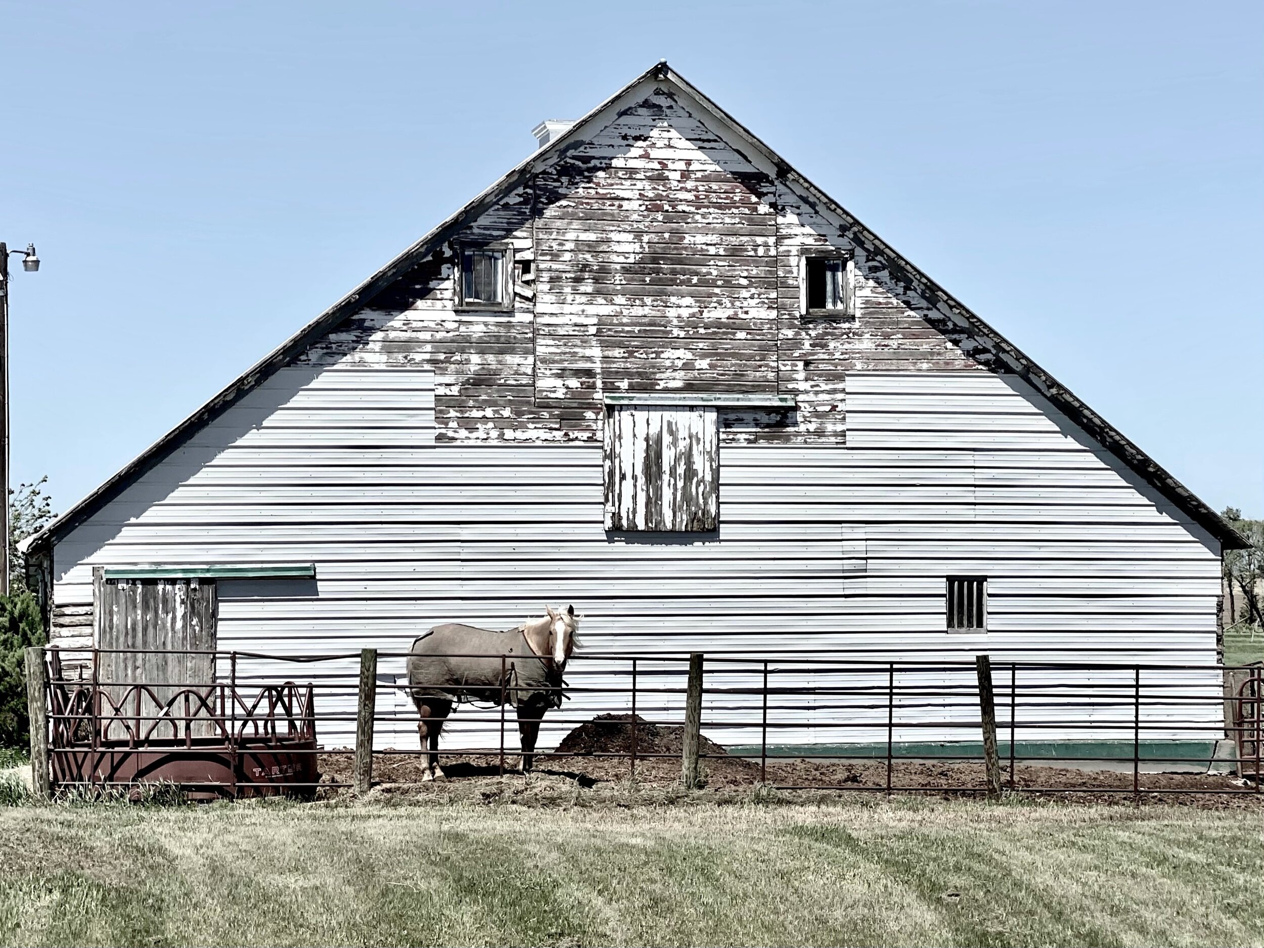 Jenny Hershey took this photo in South Dakota, and she really wanted me to add it to this post because she likes it so much. I do too.