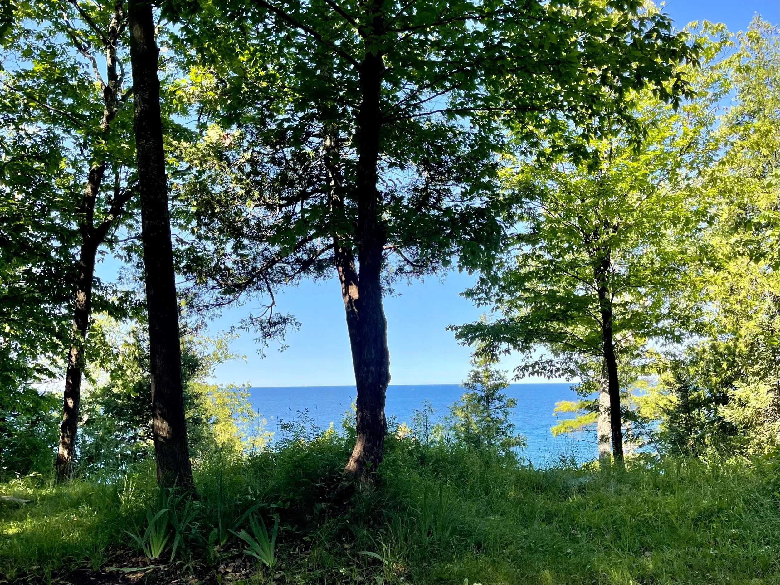 There are also 158 miles of private lakeshore property in smaller land trusts on the lower Lake Michigan shoreline with 110 miles of hiking trails on Little Traverse Bay above Traverse City on the Lake Michigan Coast of Michigan. Much of that land is set aside as conservation easements through the Little Traverse Conservancy, in land trusts on property with large secluded homes. (Yes, tax breaks for wealthy landowners.) However, much of Lake Michigan beachfront is privately owned and not publicly accessible. Photo by Michael Chase. Follow him on Instagram at mjohnsonchase.