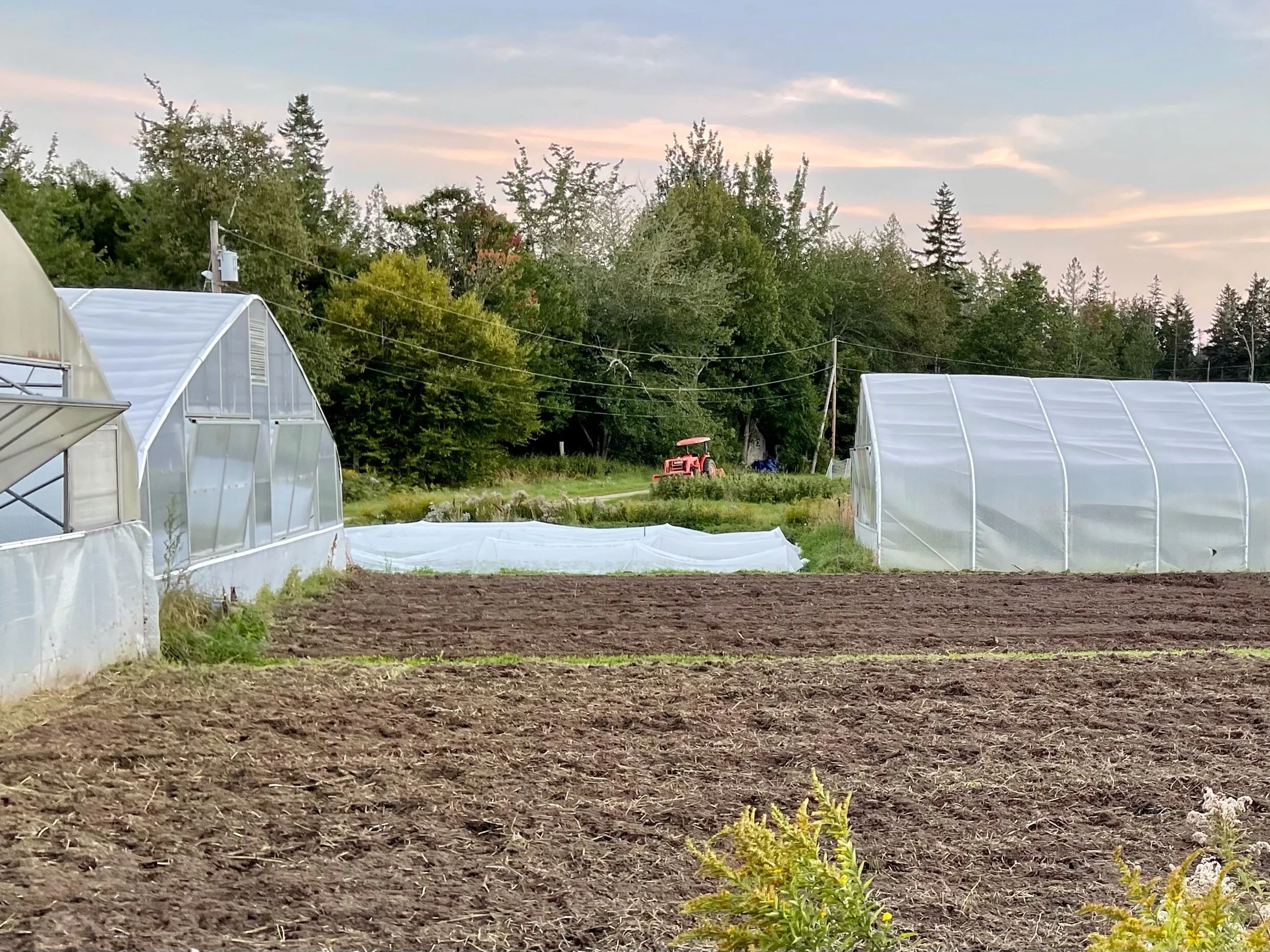 Several fields at Four Season Farm. The field in the foreground had just been tilled with an ample amount of green manure (crop residue  from buckwheat plowed into the soil to enrich it) in preparation for a cover crop of winter rye. The field in the background was sown with peas and oats for the summer and will be planted with winter spinach, and the second greenhouse to the left will be moved over the spinach to optimize growing conditions. Photo by Michael Chase. Follow him on Instagram @mjohnsonchase.