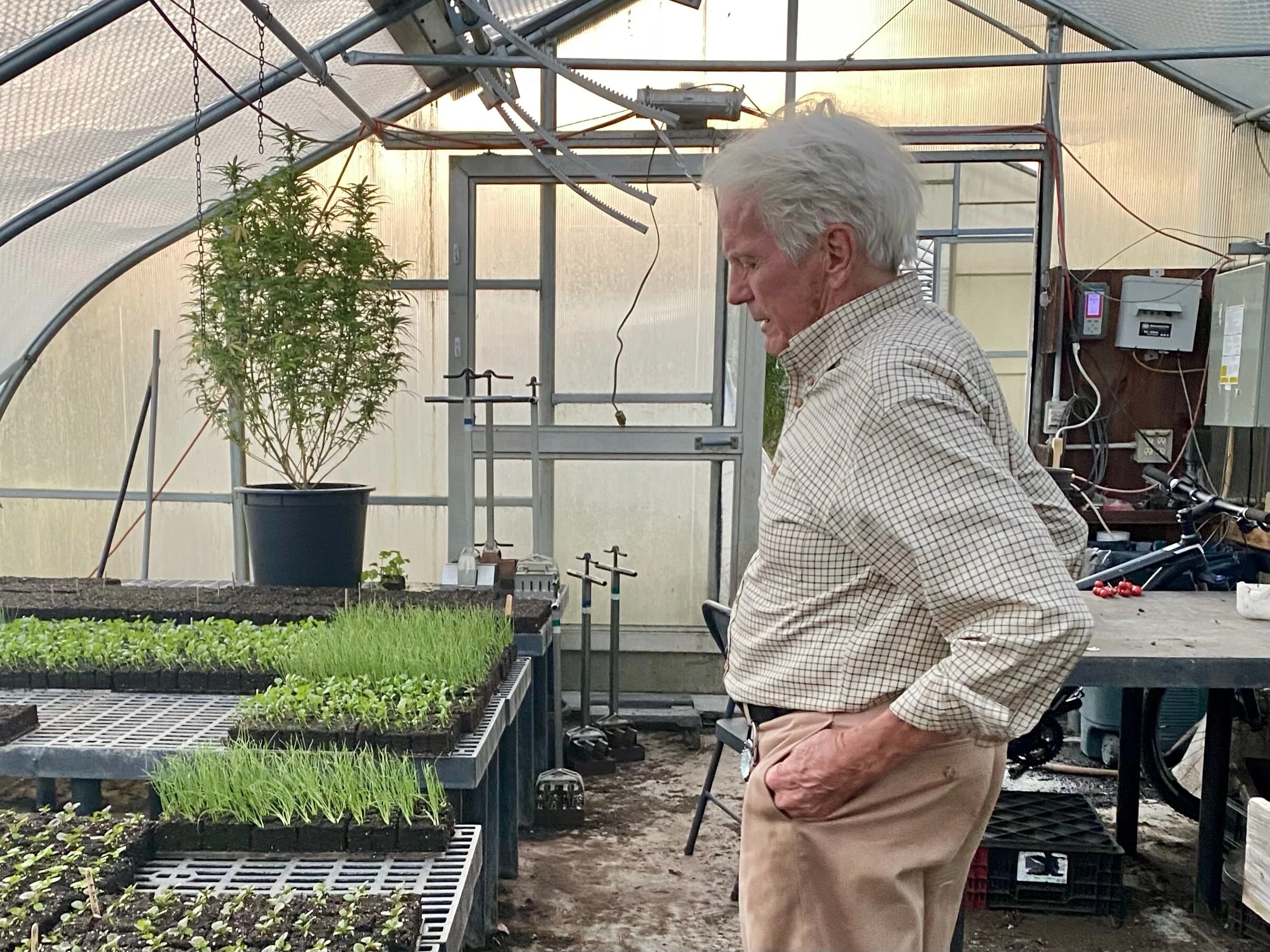 Eliot looks over starts for the winter season in one of his greenhouses. Photo by Jenny Hershey. Follow her on Instagram @deeofo.