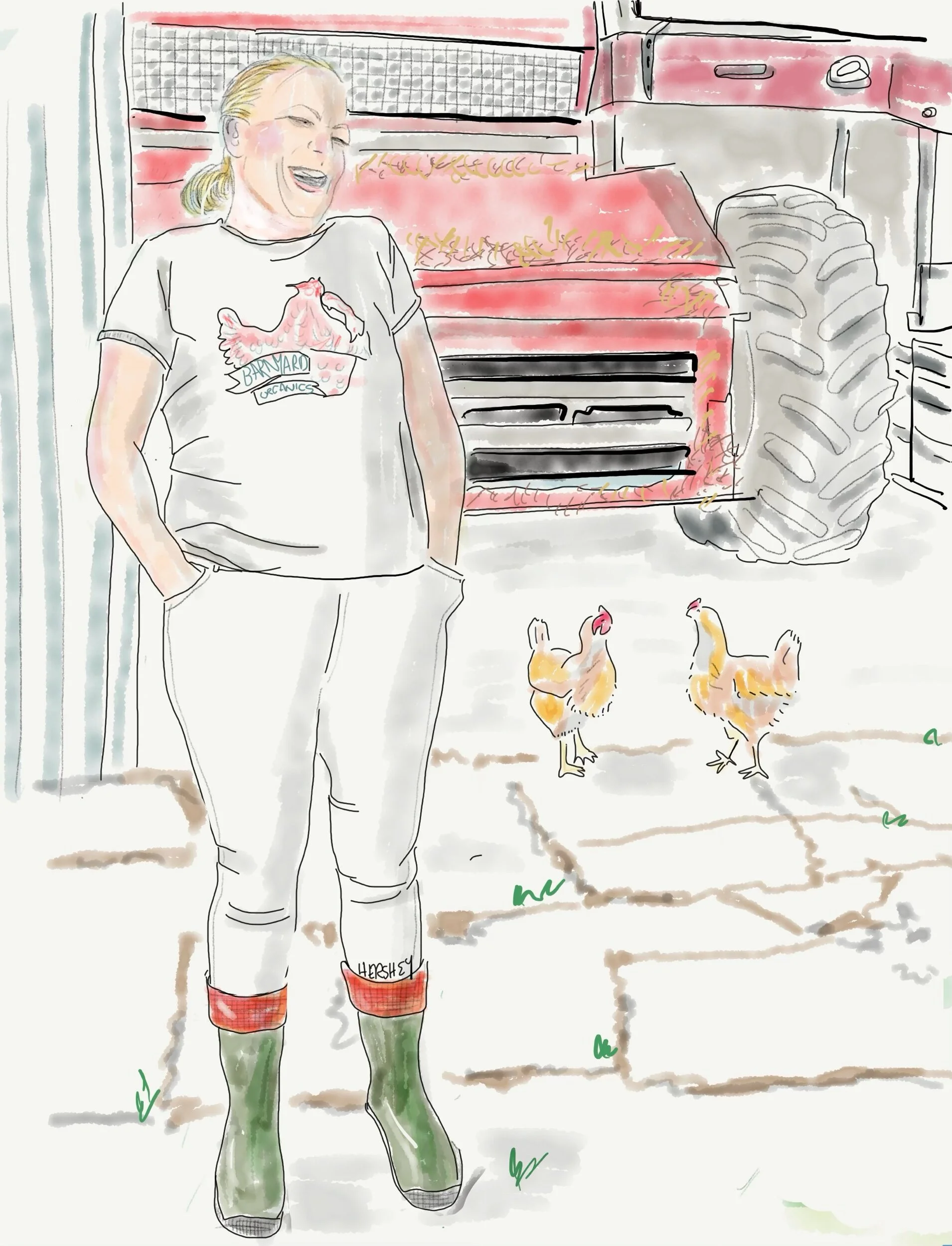 Sally, the youngest of nine from a cattle-ranching family, immediately impressed us with her wit and joy. She met Mark at the Agriculture University in Truro and told us she was immediately smitten. Together they work the land and raise four beautiful children. Sally has a special place in her heart for their three pigs (Dolly, Shania and Reba) and two dairy cows. They no longer raise chickens for market, but they keep quite a few hens for selling pasture raised eggs. Sally dislikes the local Sea Eagles, who will swoop down undetected, lift chickens in their claws and take them away to eat. Drawing by Jenny Hershey. Follow her on Instagram @deeofo.