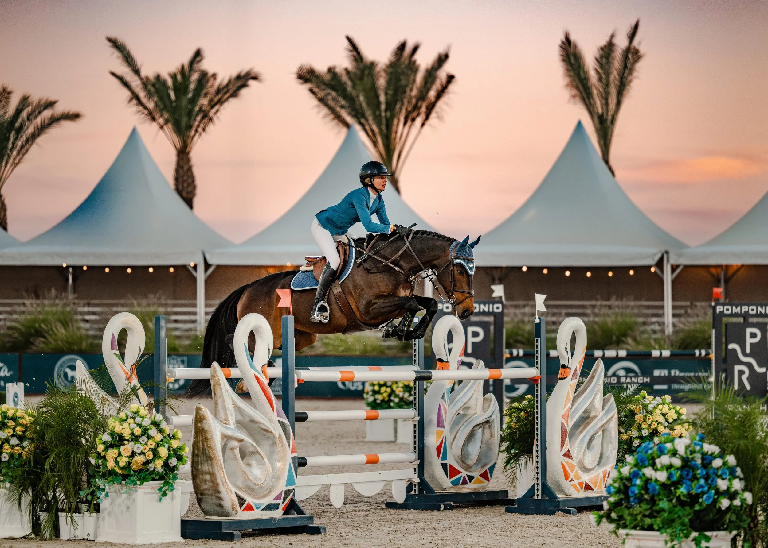 seattle equestrian trainer showjumping dihp
