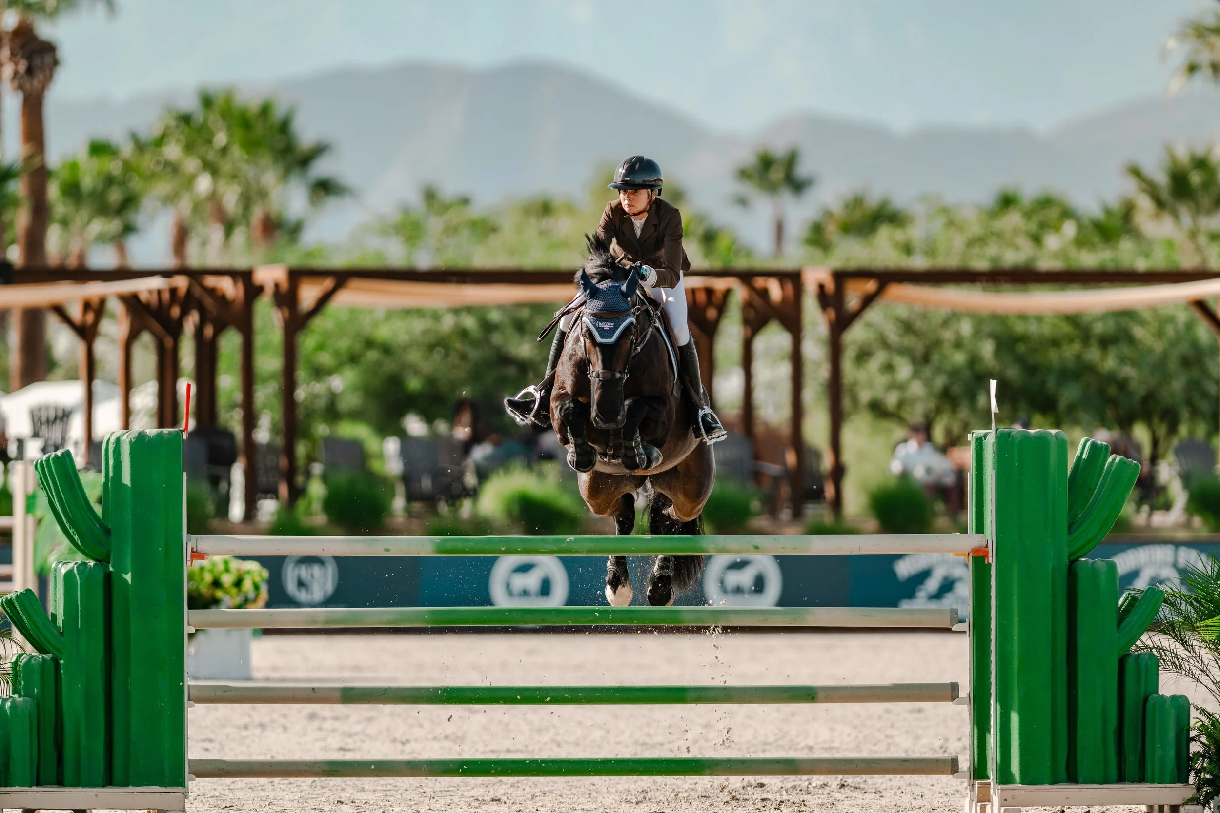 seattle trainer jumping horse dihp