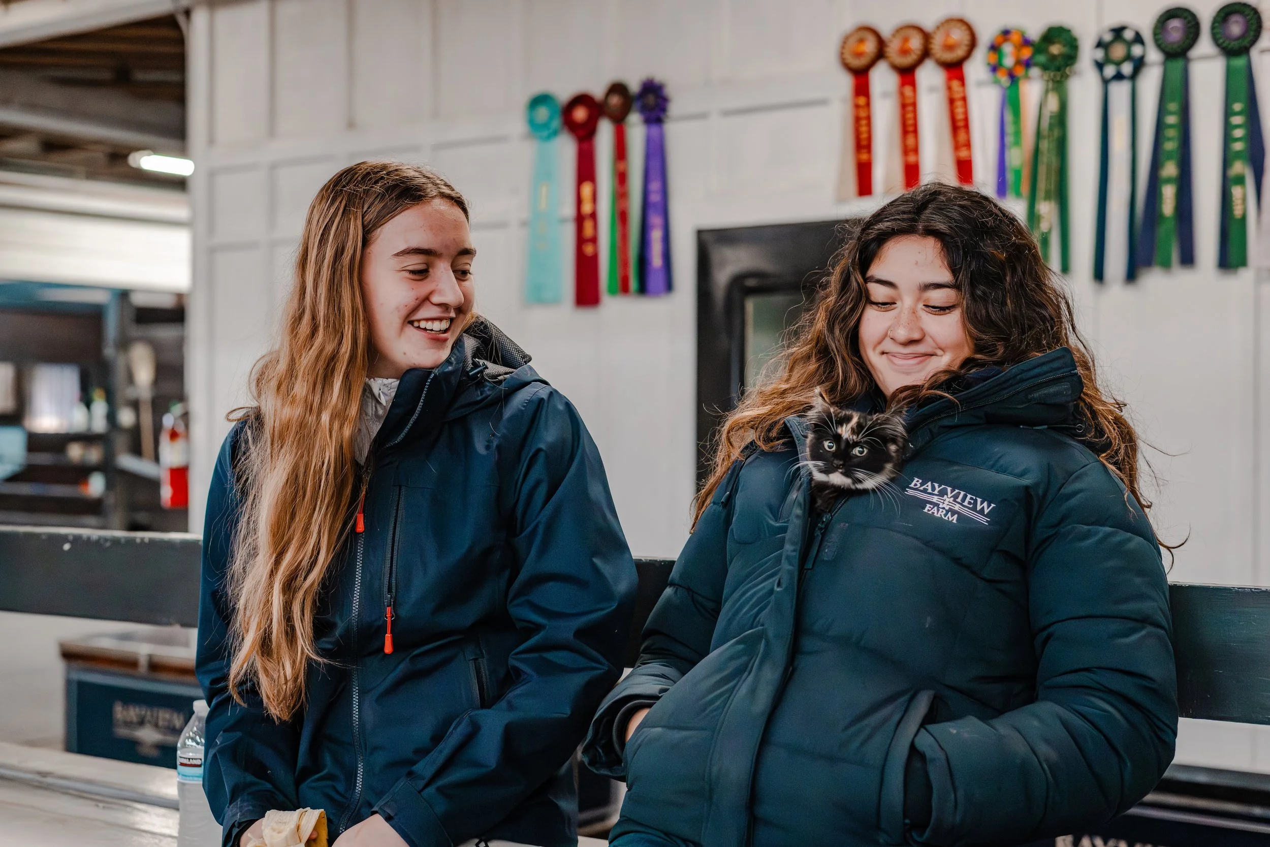 pnw hunter jumper barn kids smiling kitten