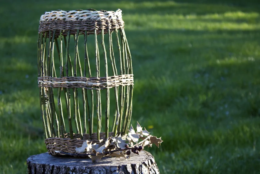 English Holly and English Ivy Open-Weave Basket Experiment.