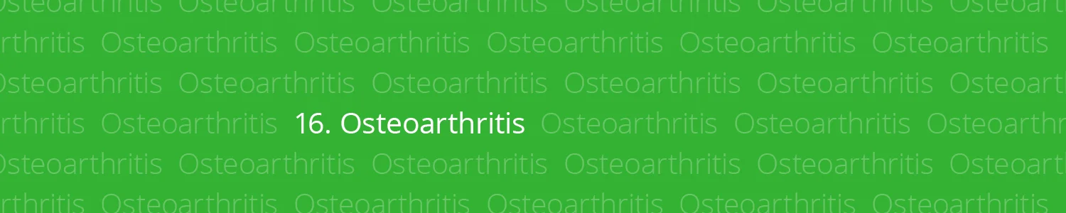 categories-banner16.jpg