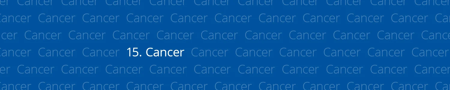 categories-banner15.jpg