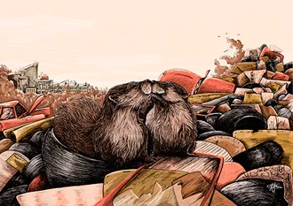 My-Significant-Otter.jpg