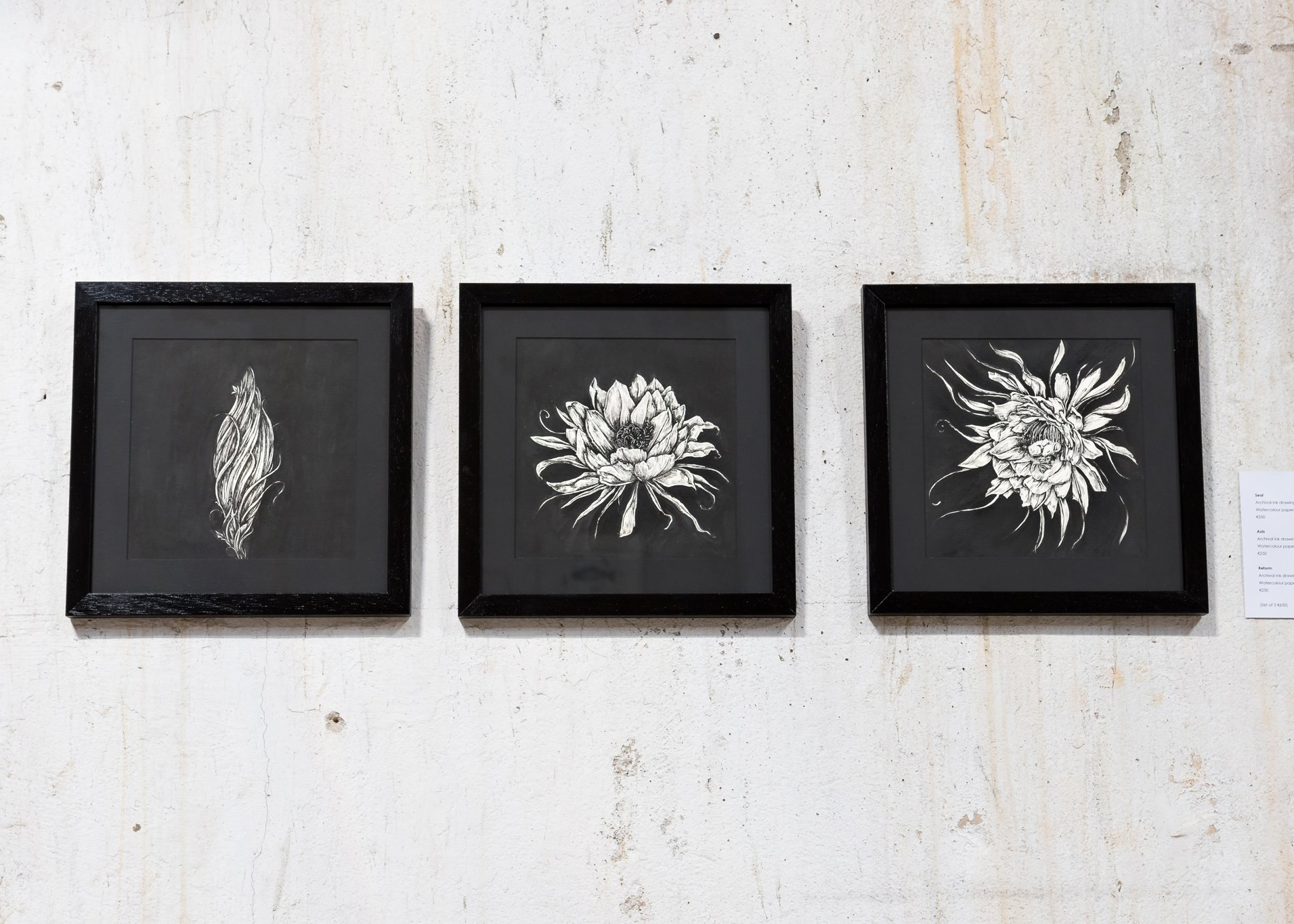 Helena_Grimes_Seal_Axis_Reform_Bloom Series_2016_KFEst.jpg