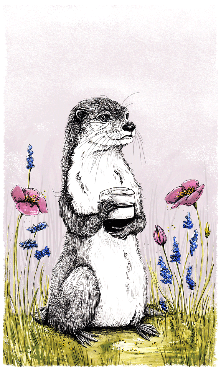 Otter-1_Web_low_res_helena_grimes2.png